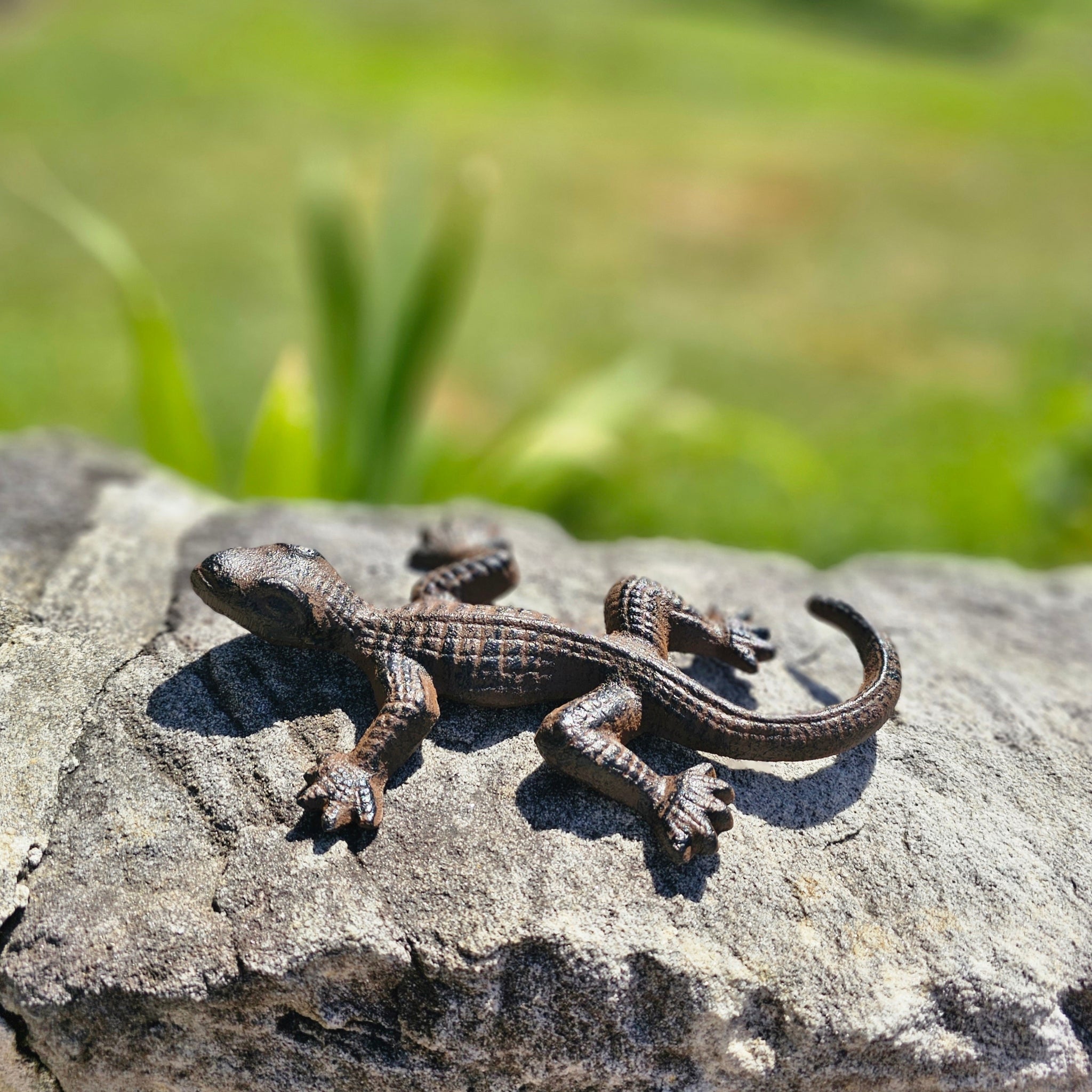 Lizard Cast Iron Decor