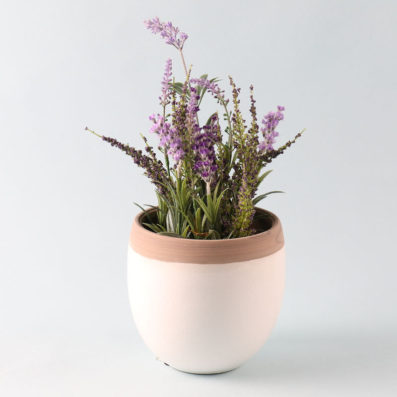 Glossy White/Natural Ceramic Pot