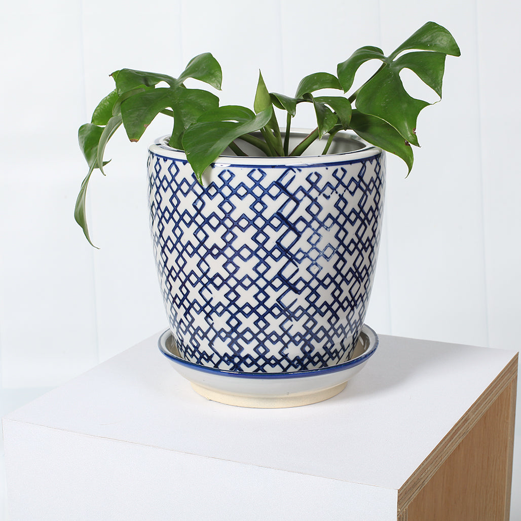 Geometric Ceramic Planter