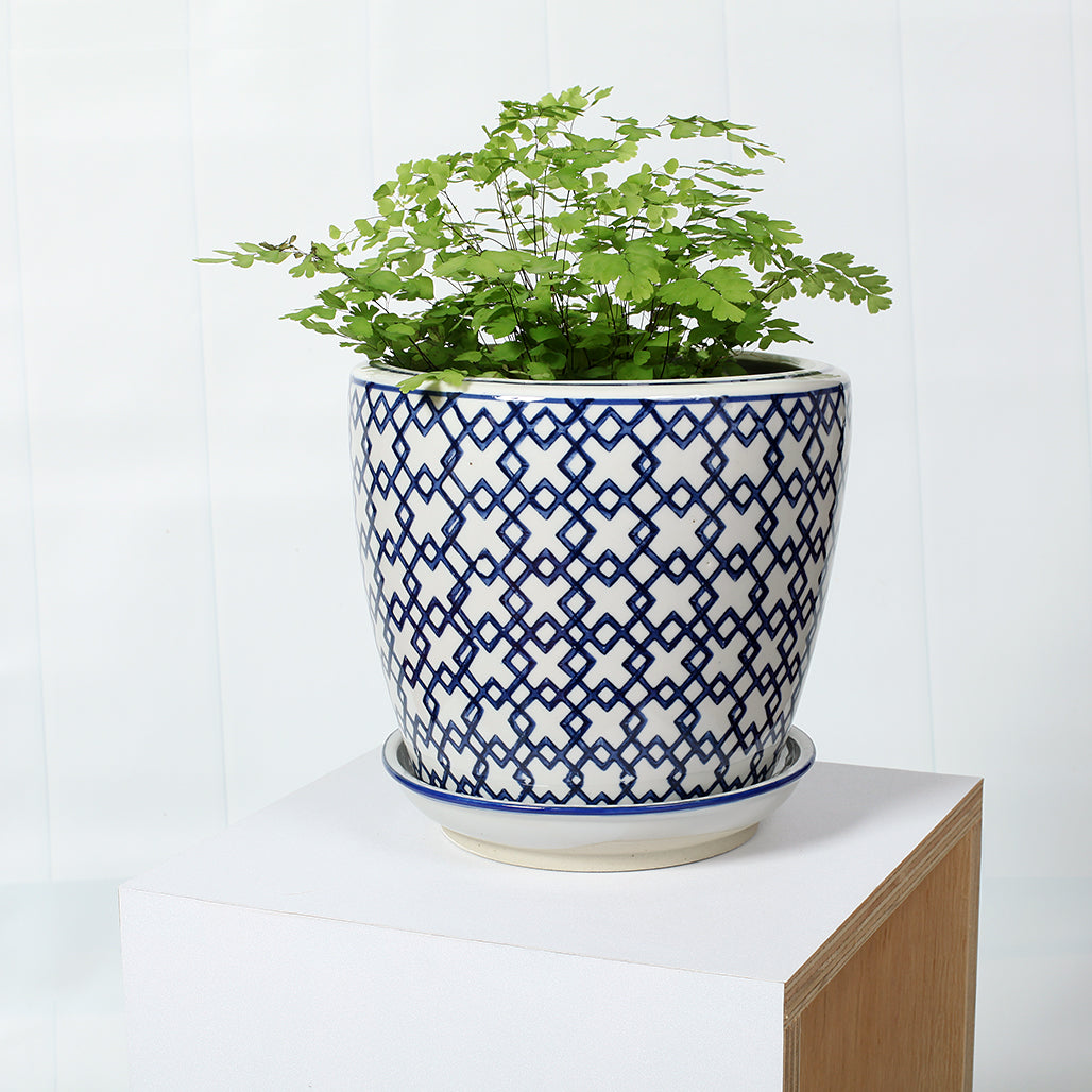 Geometric Ceramic Planter