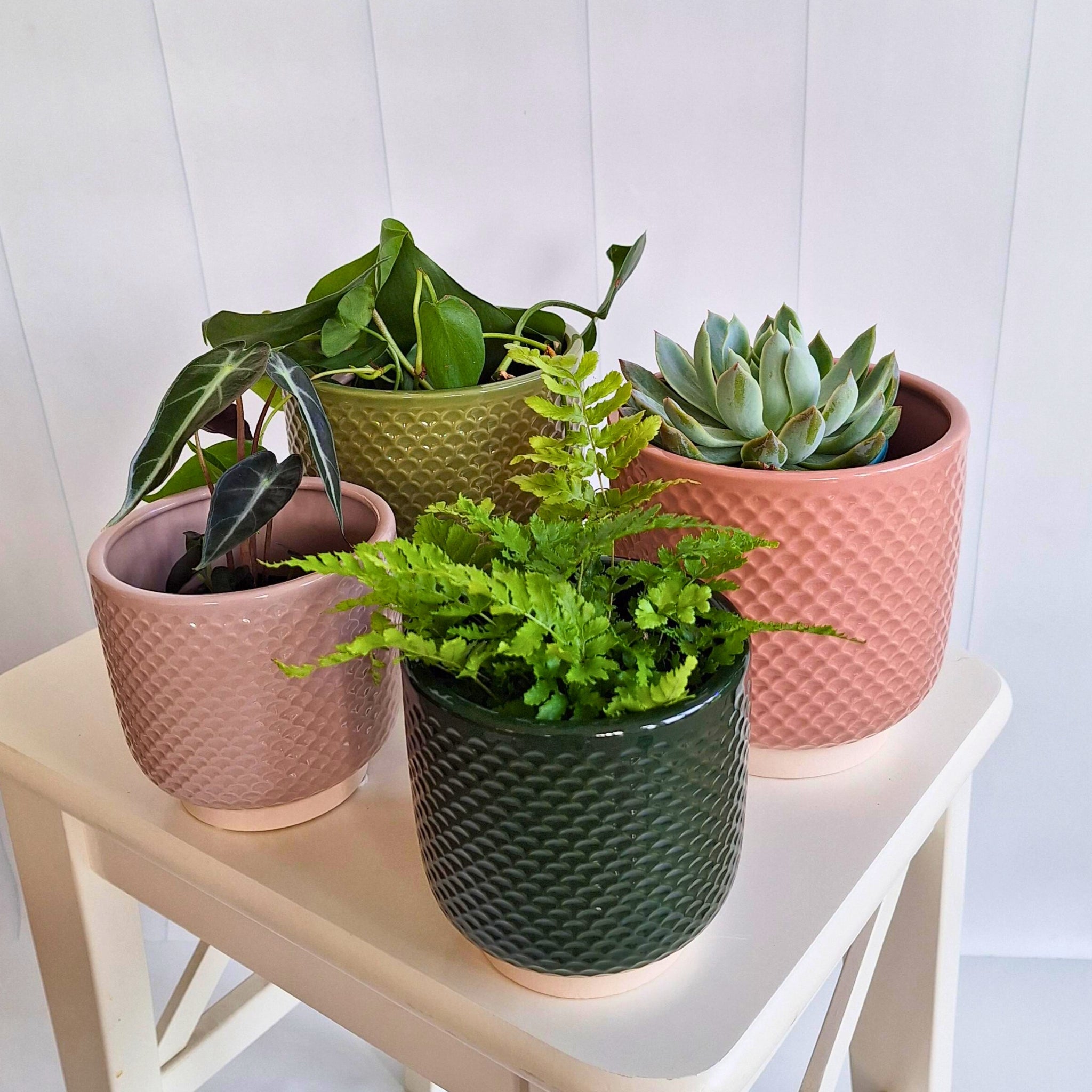 Pretty Shells Ceramic Planters