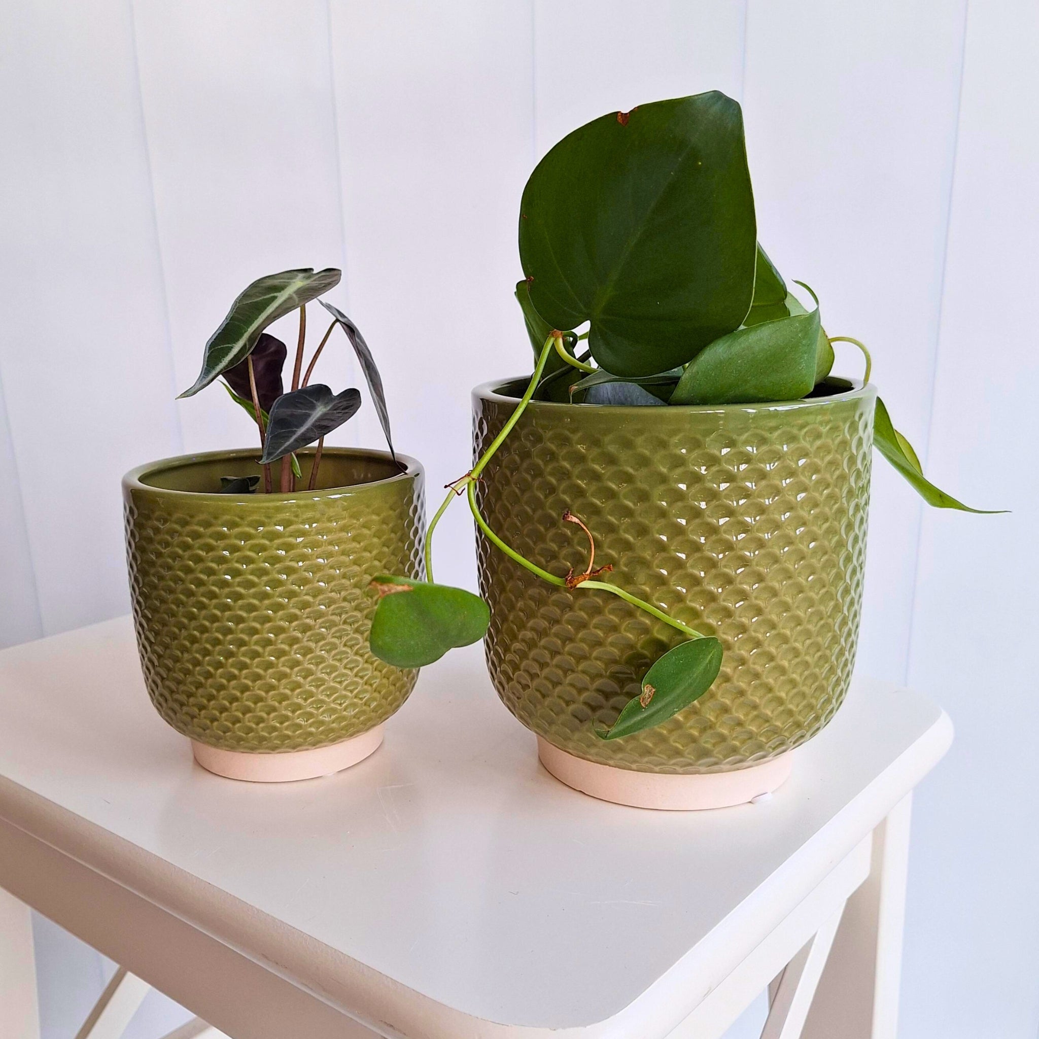 Pretty Shells Ceramic Planters
