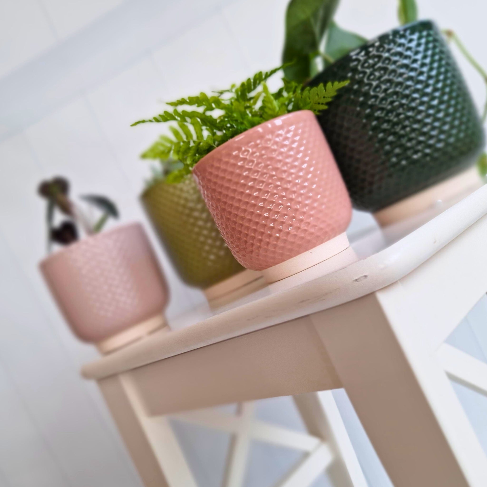 Pretty Shells Ceramic Planters