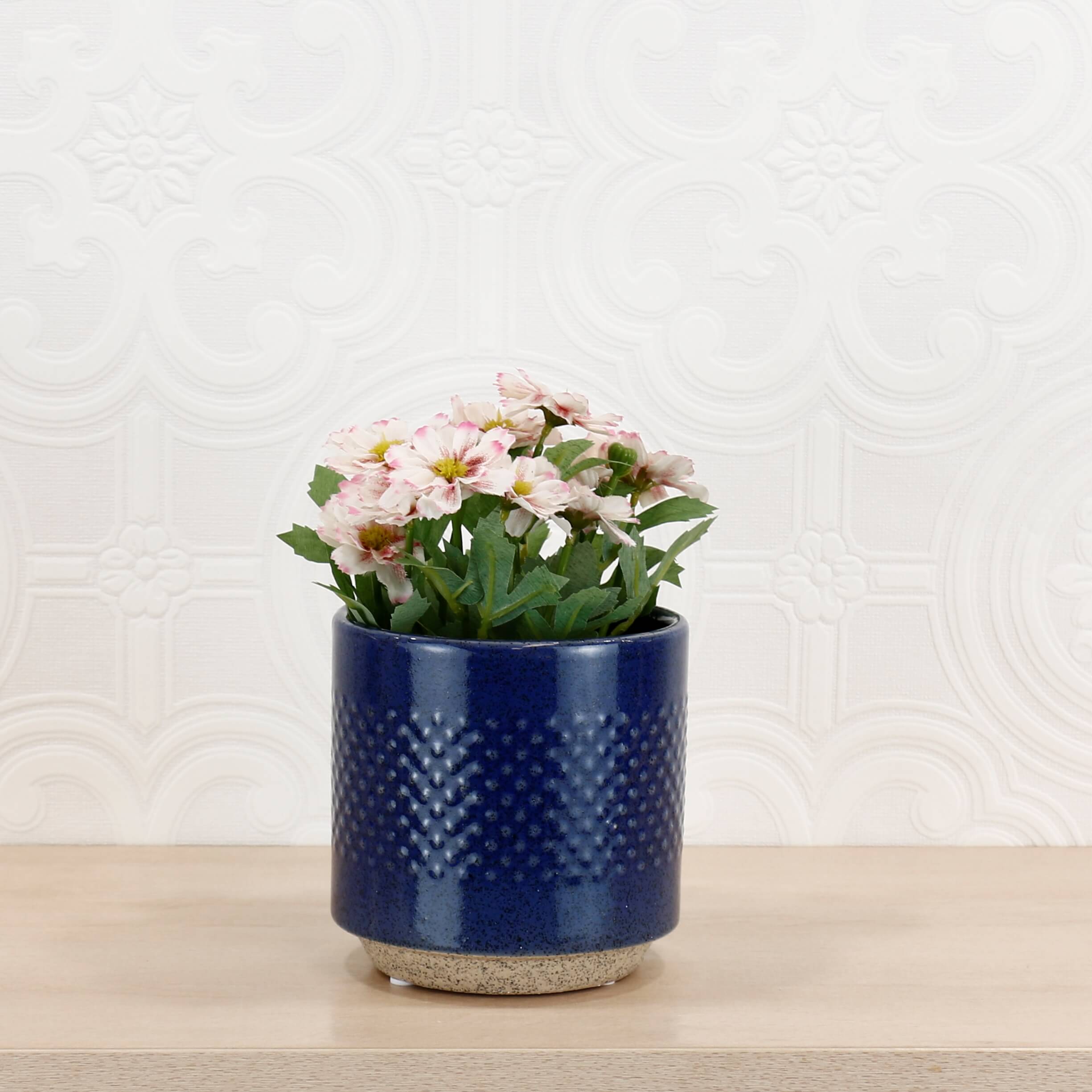 Embossed Ceramic Spot Pots