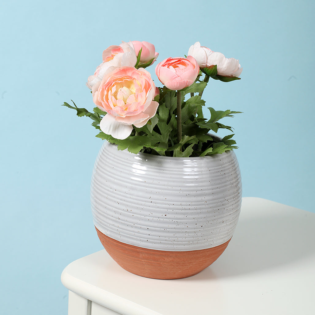 Terracotta Style Ceramic Planter