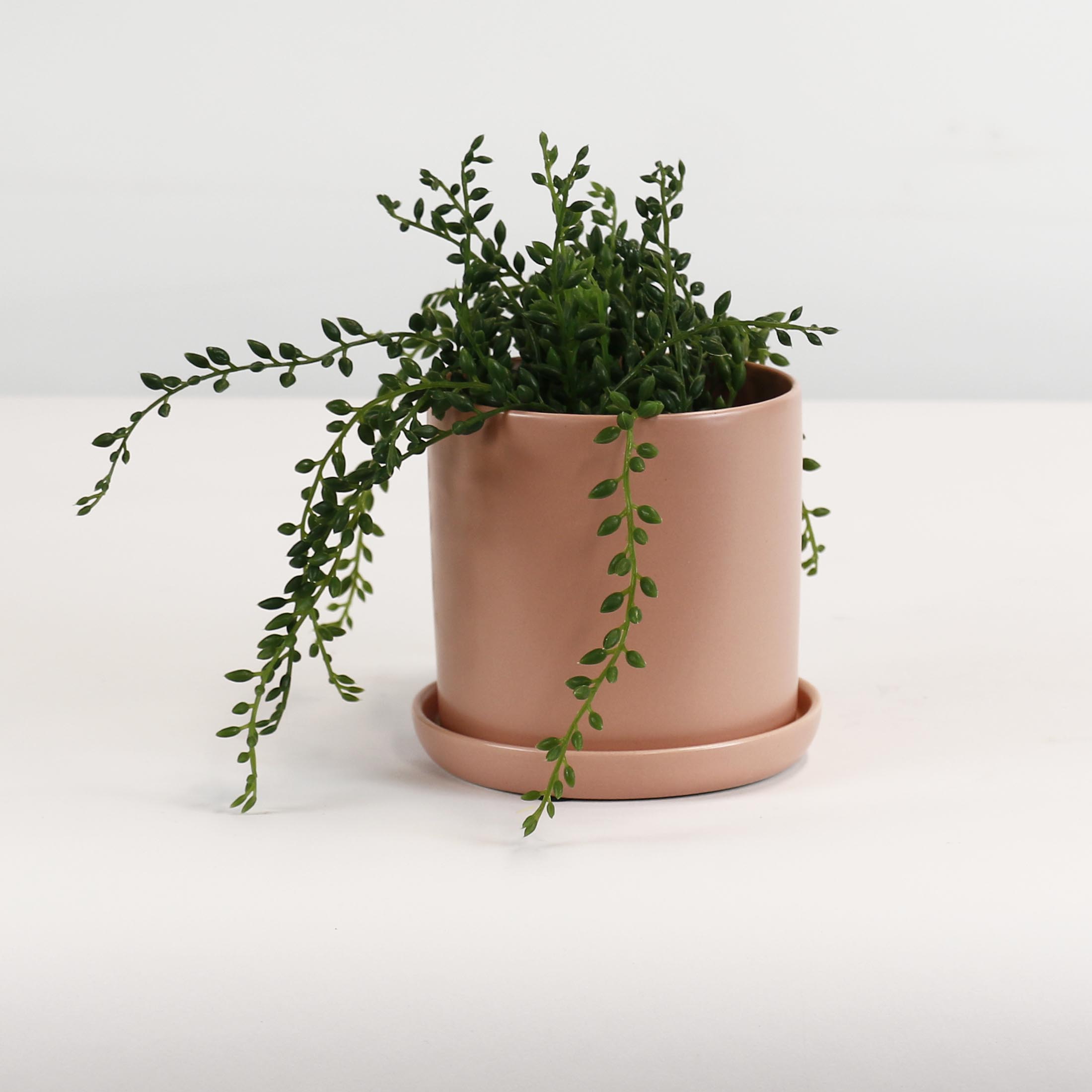Cylinder Pots With Saucers