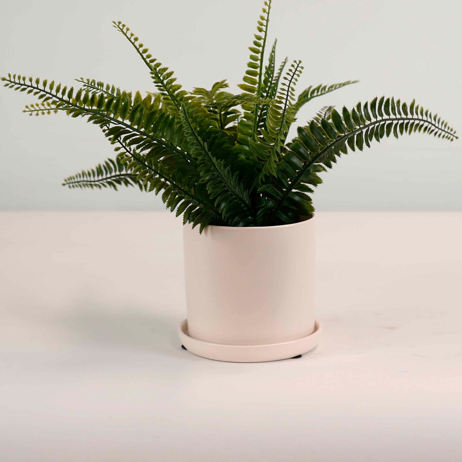 Cylinder Pots With Saucers