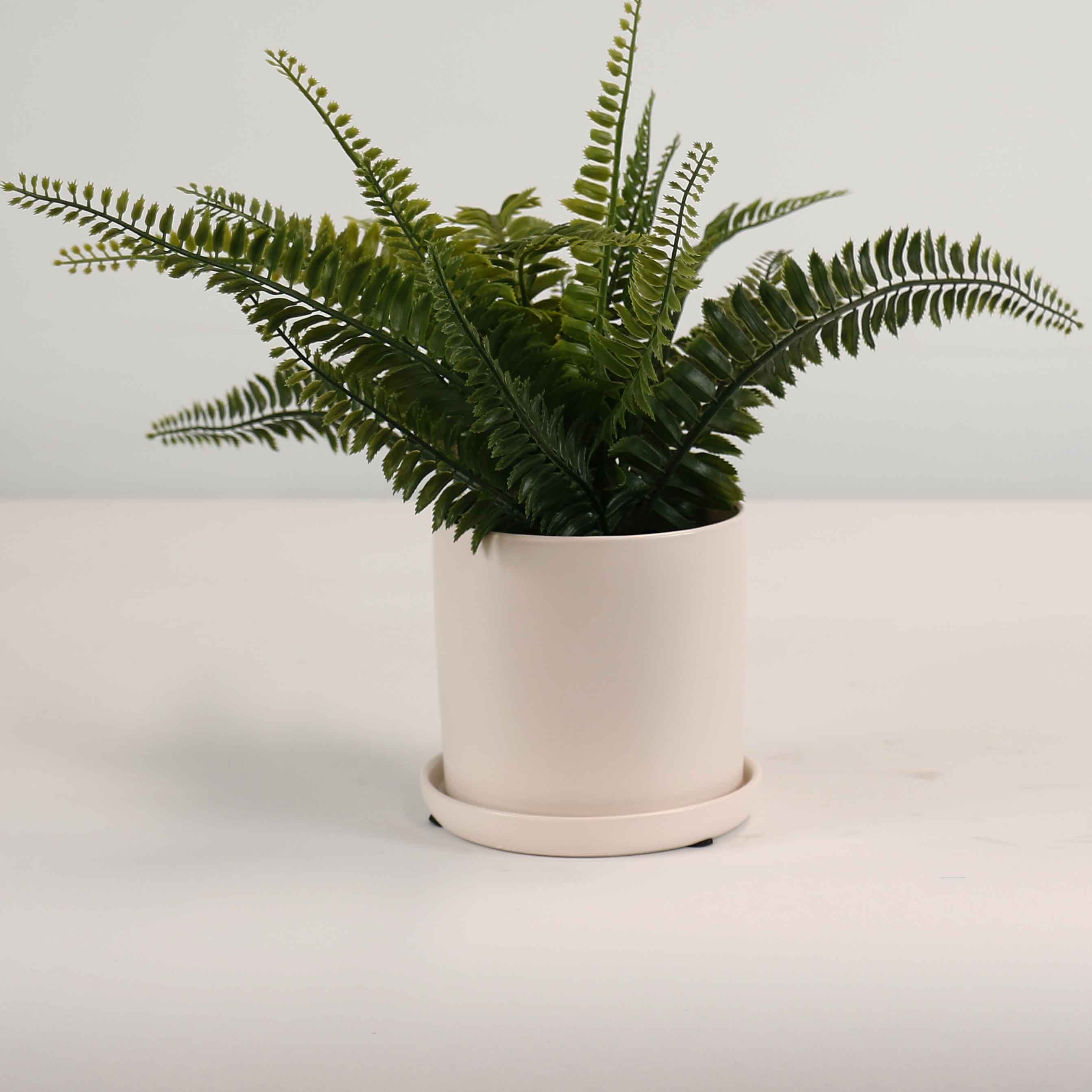 Cylinder Pots With Saucers