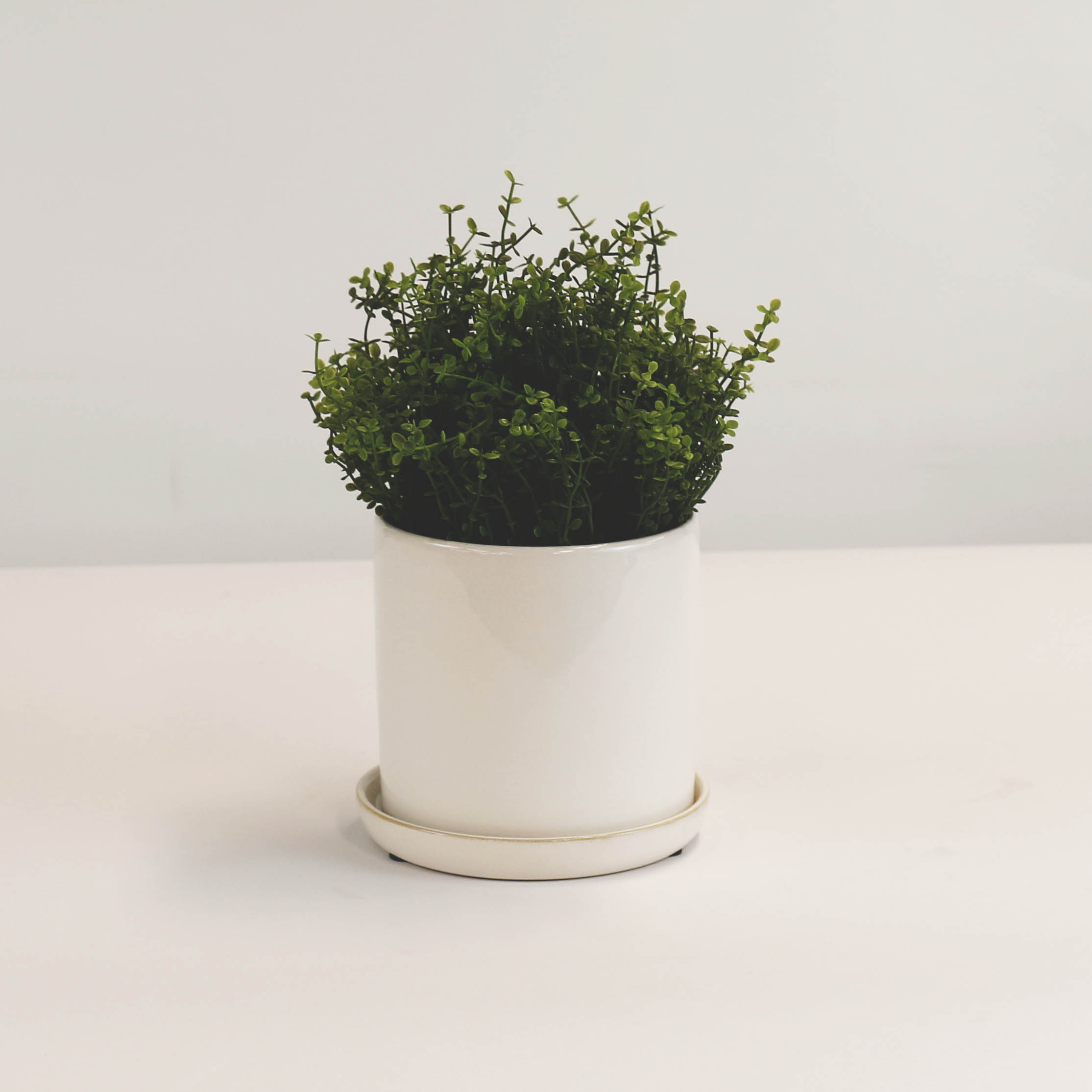 Cylinder Pots With Saucers