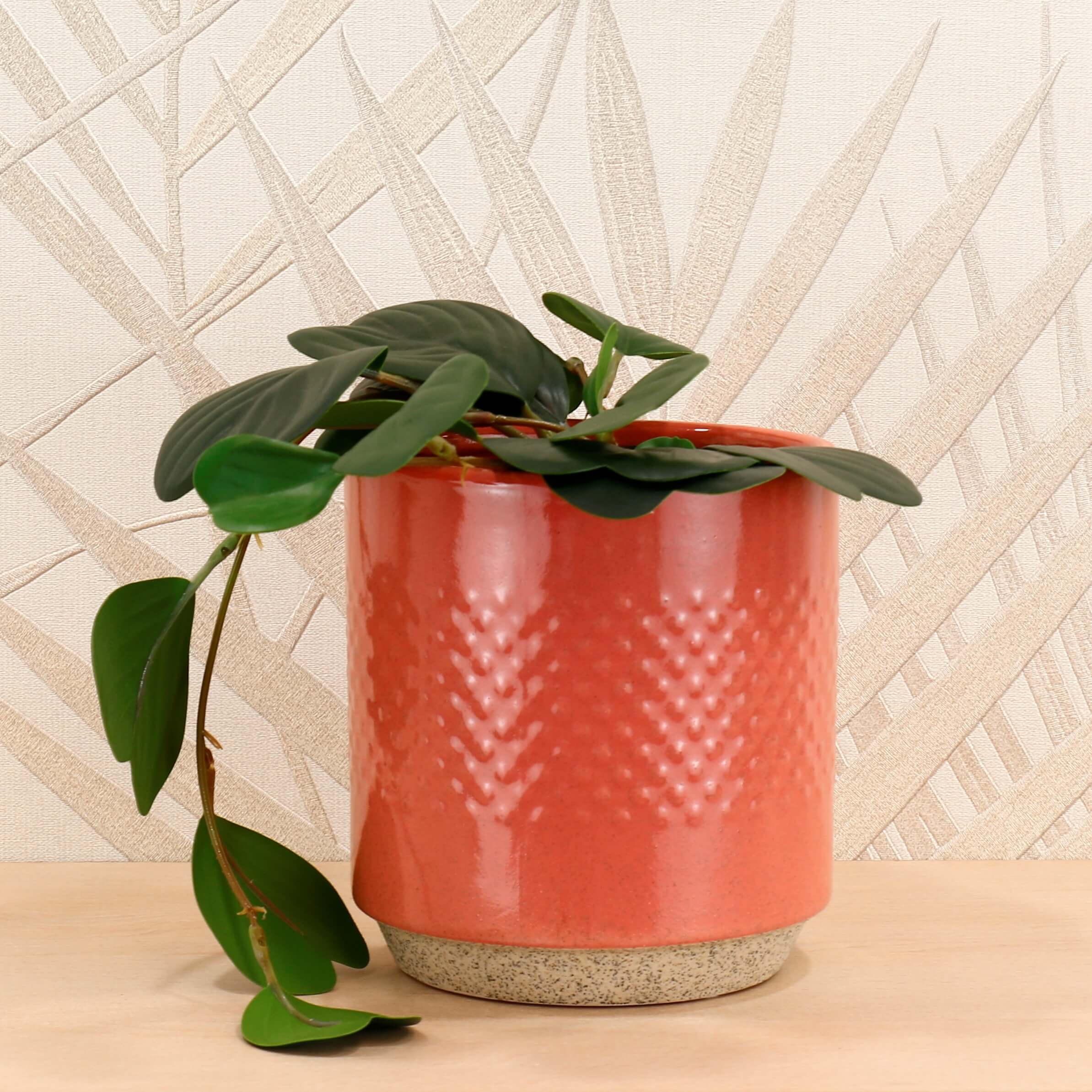 Embossed Ceramic Spot Pots