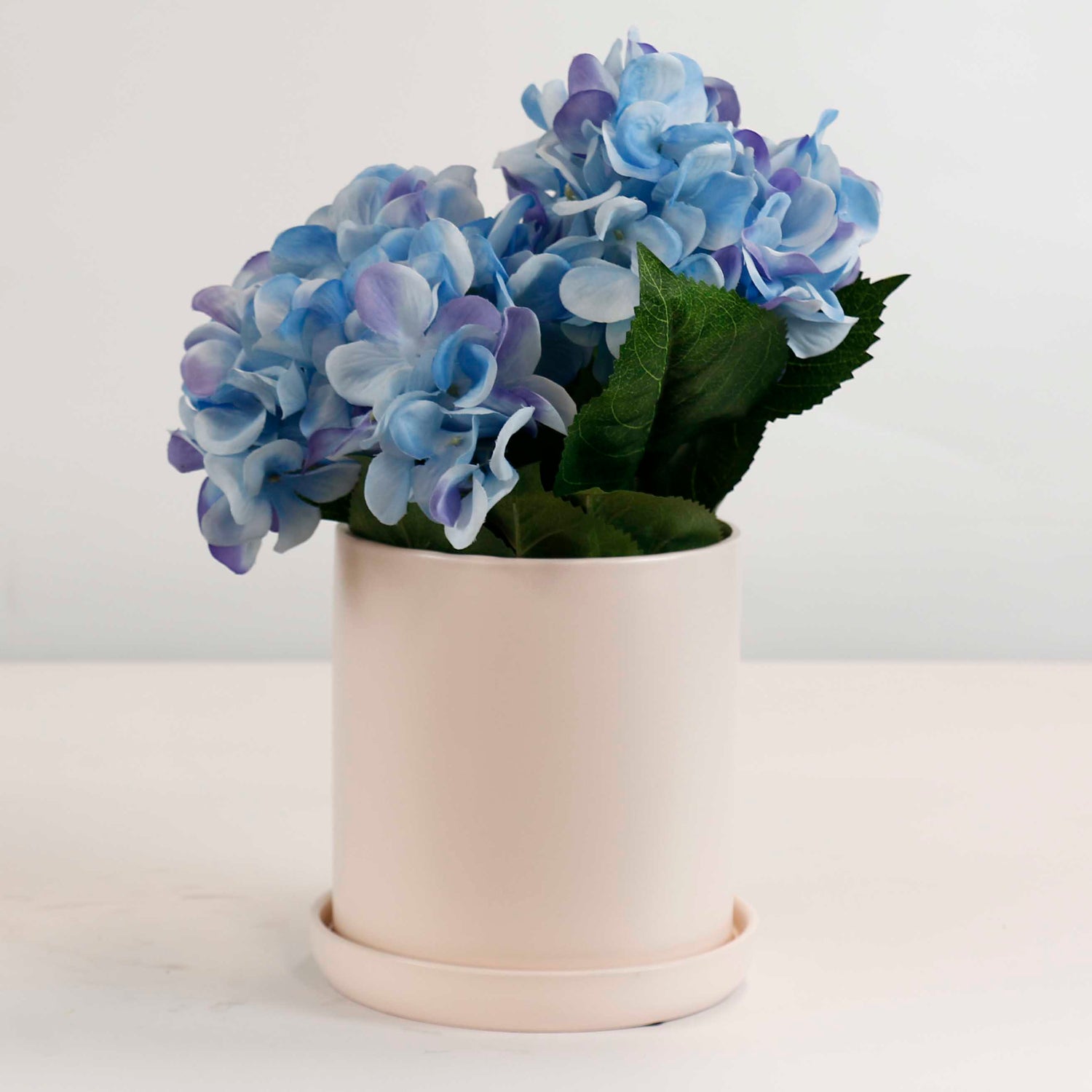 Cylinder Pots With Saucers