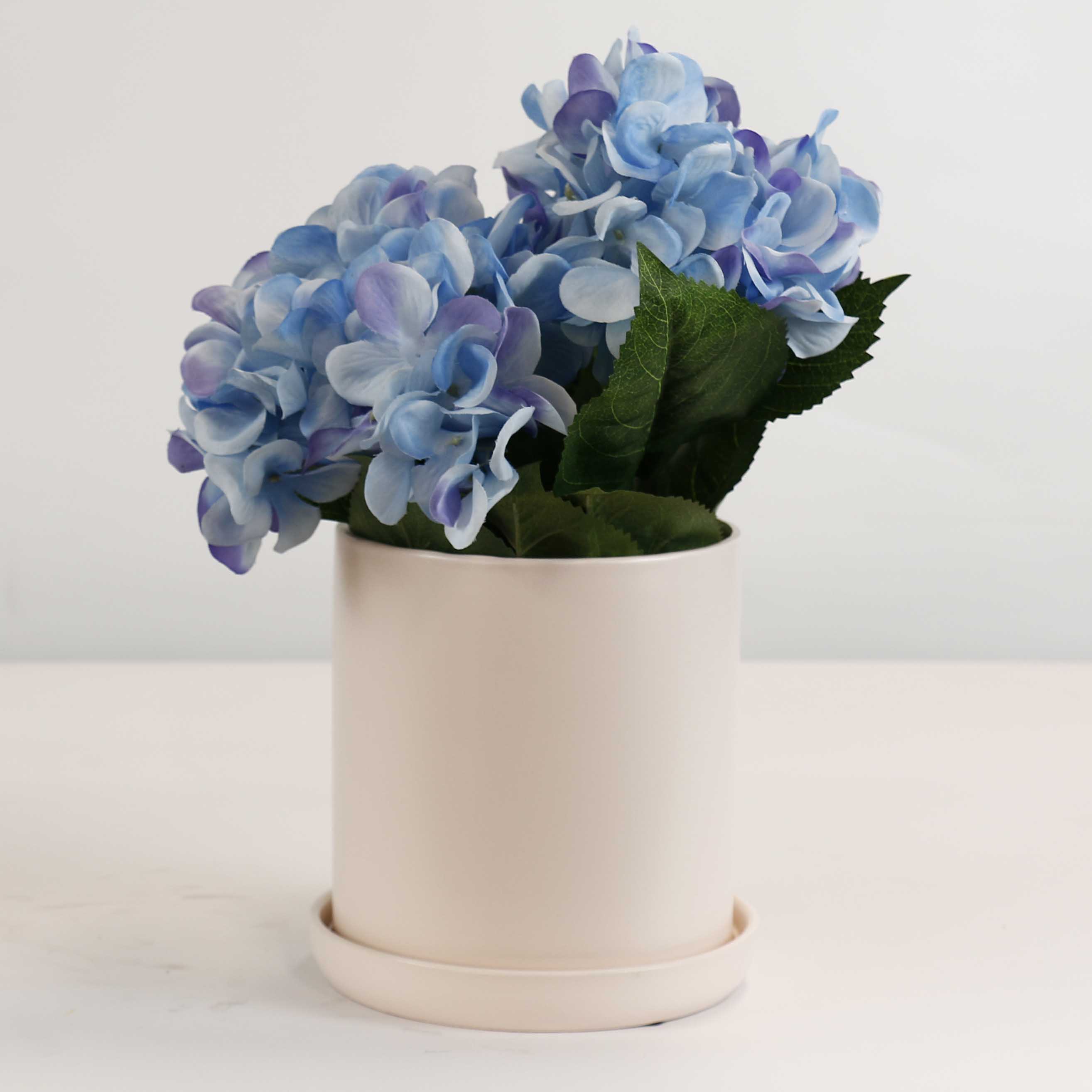 Cylinder Pots With Saucers