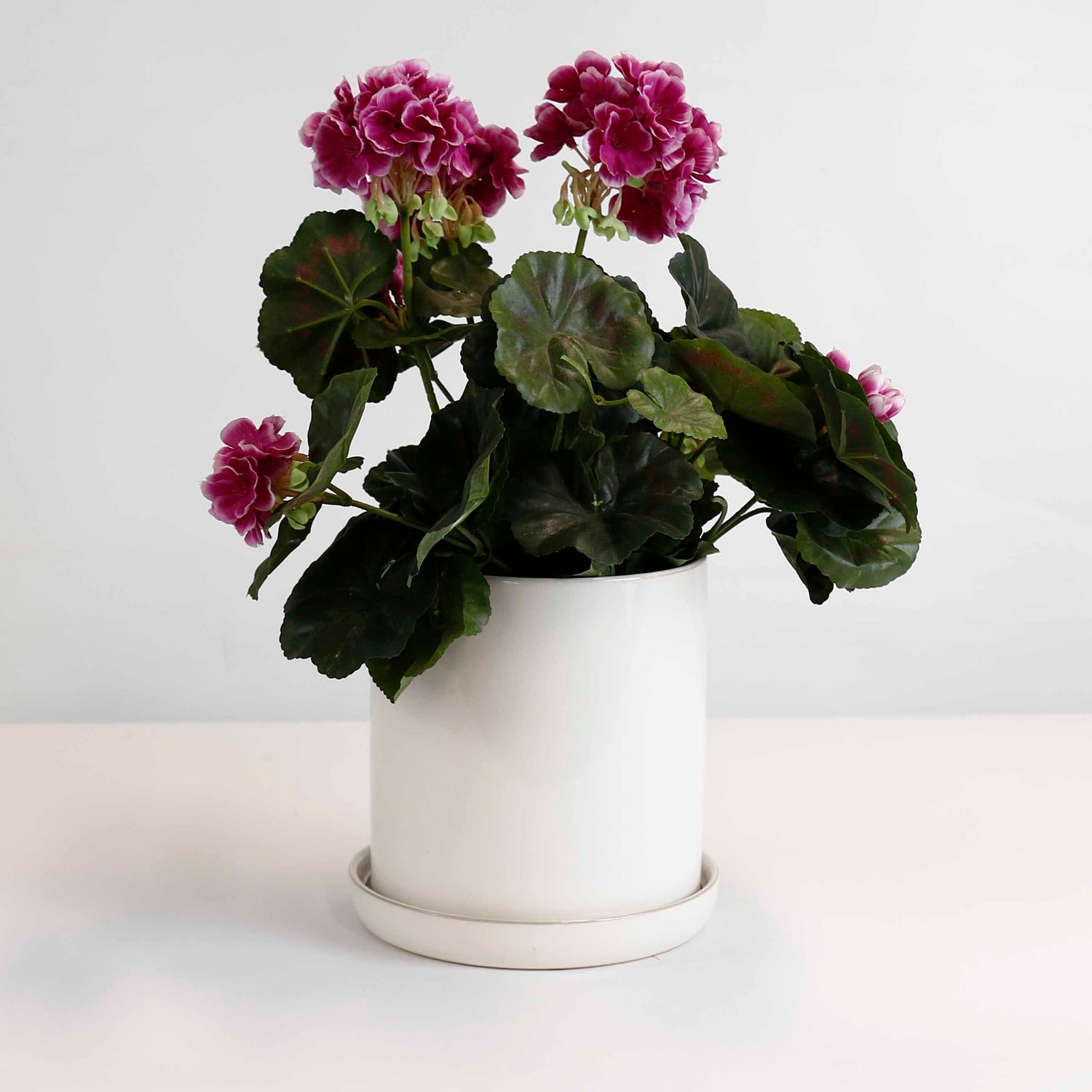 Cylinder Pots With Saucers