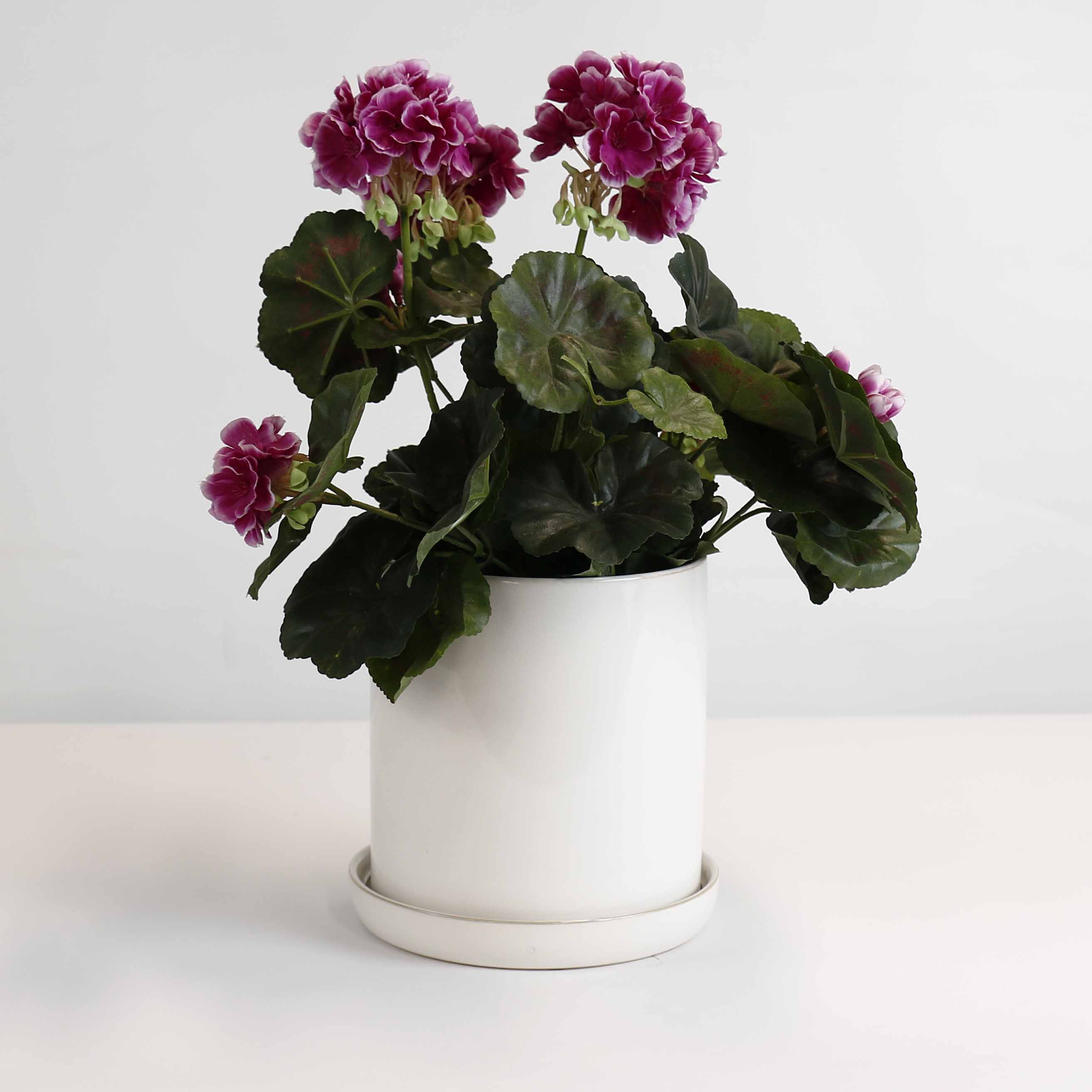 Cylinder Pots With Saucers