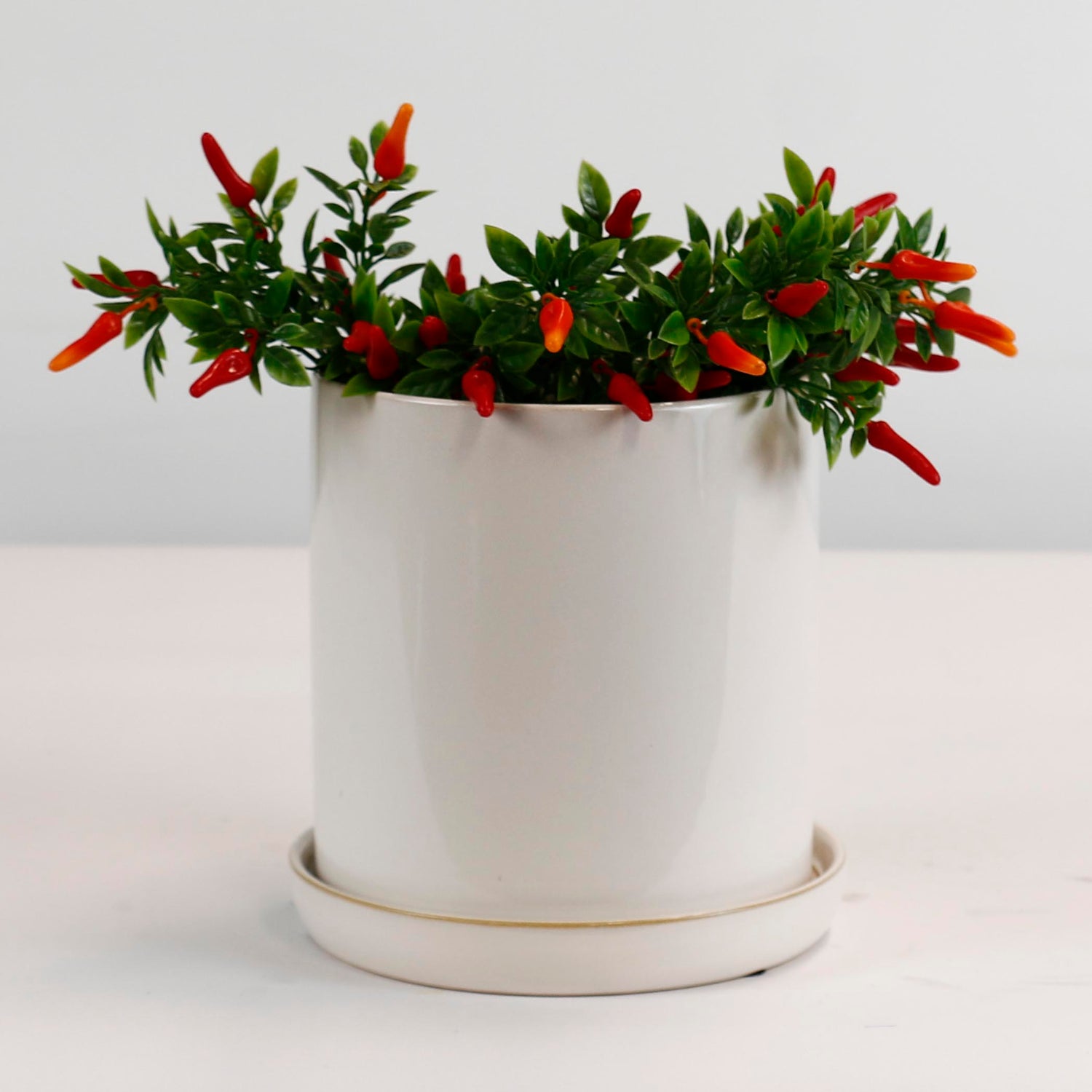 Cylinder Pots With Saucers