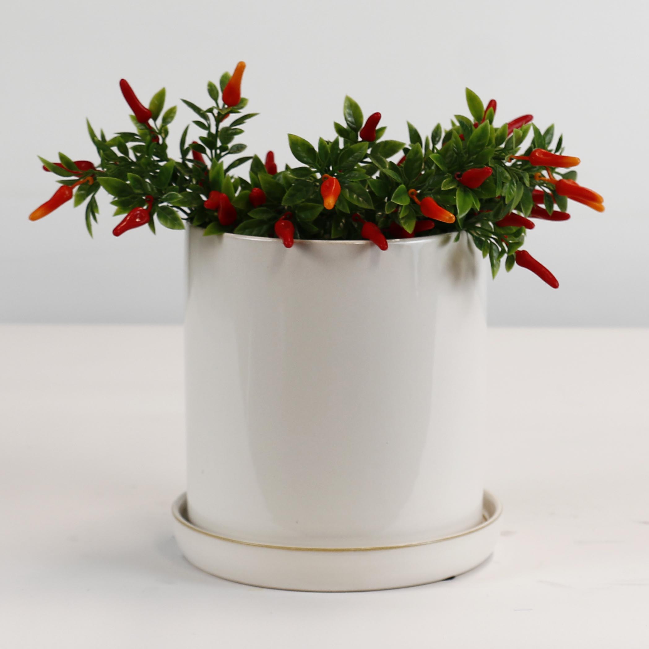 Cylinder Pots With Saucers