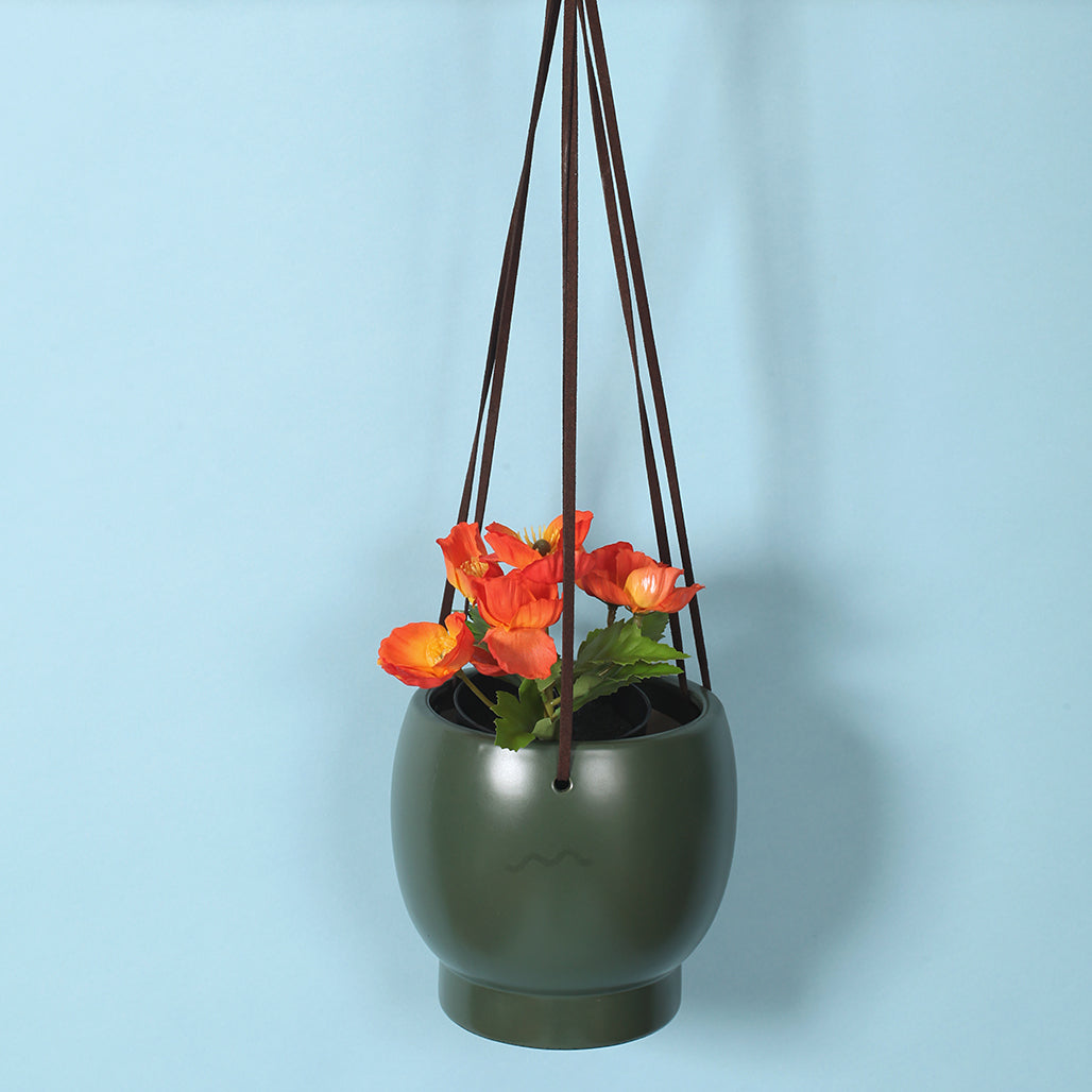 Bubble Hanging Planter