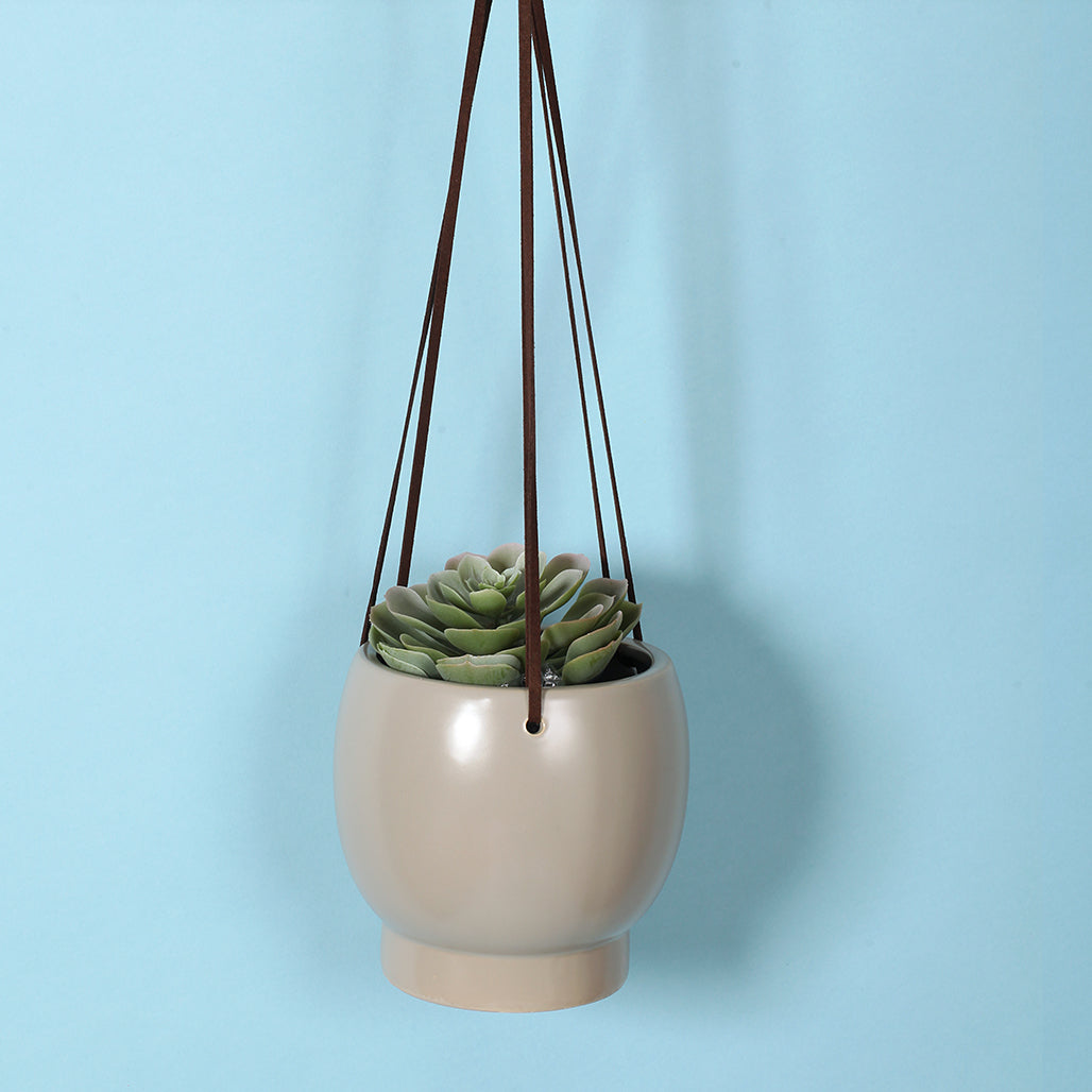 Bubble Hanging Planter