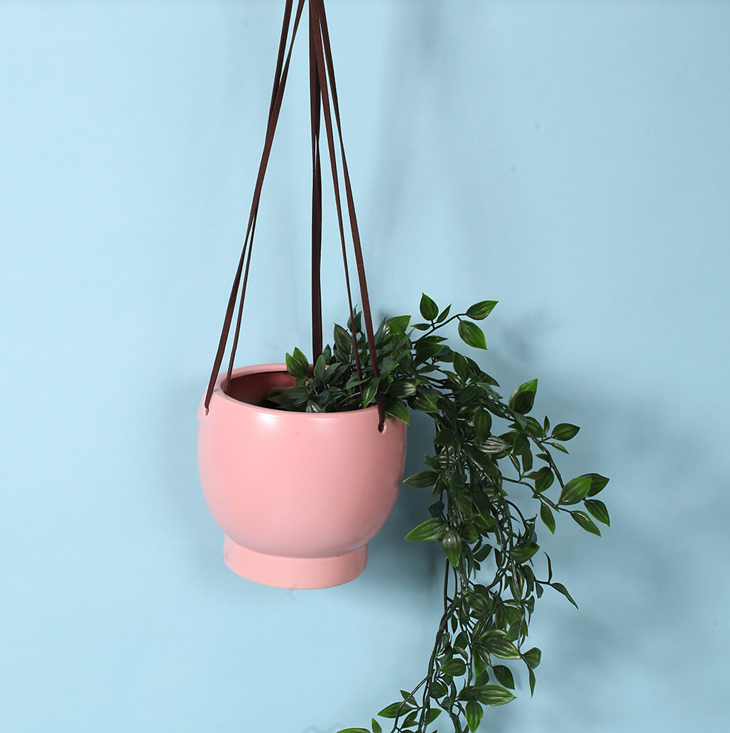 Bubble Hanging Planter
