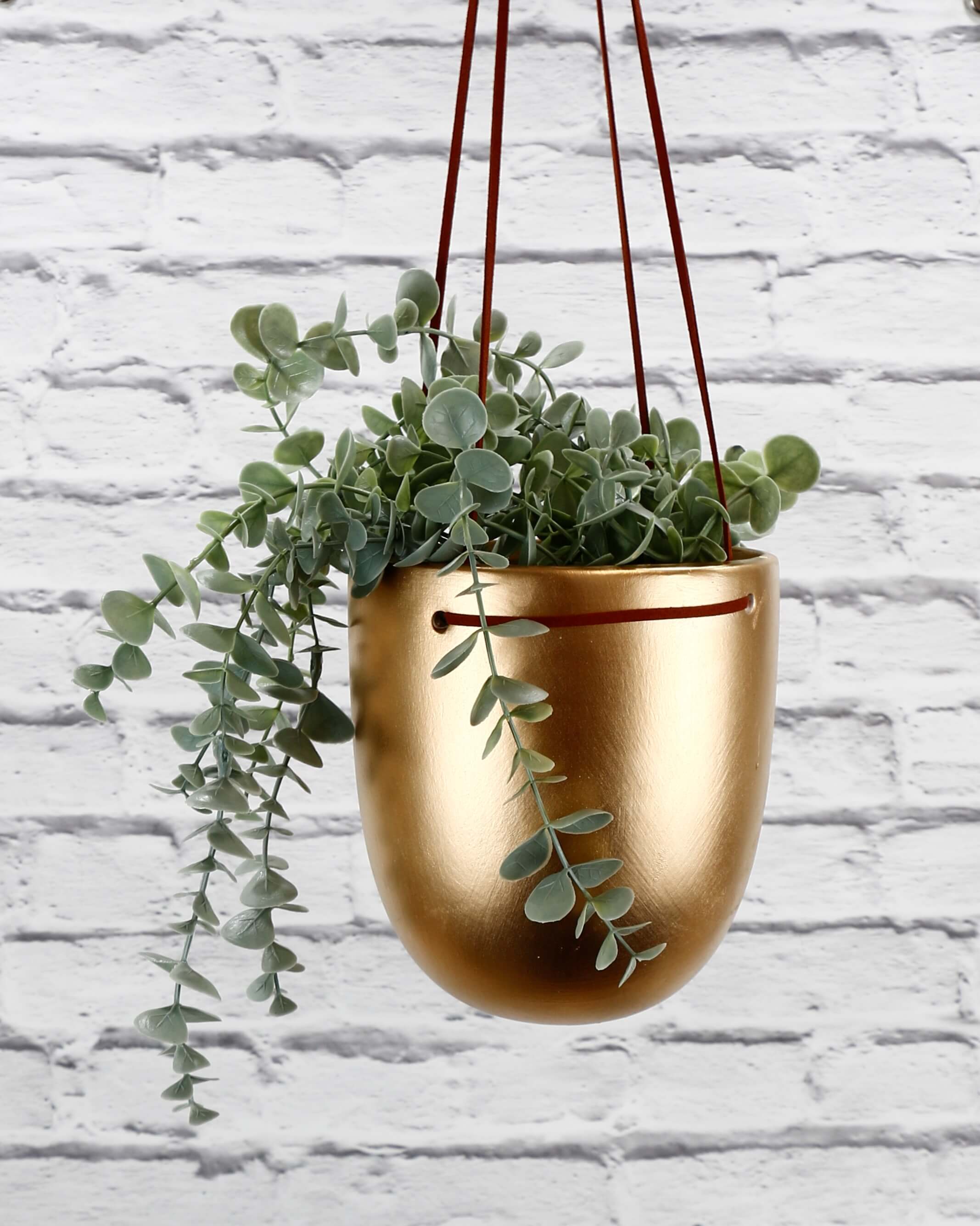Gold Hanging Pot