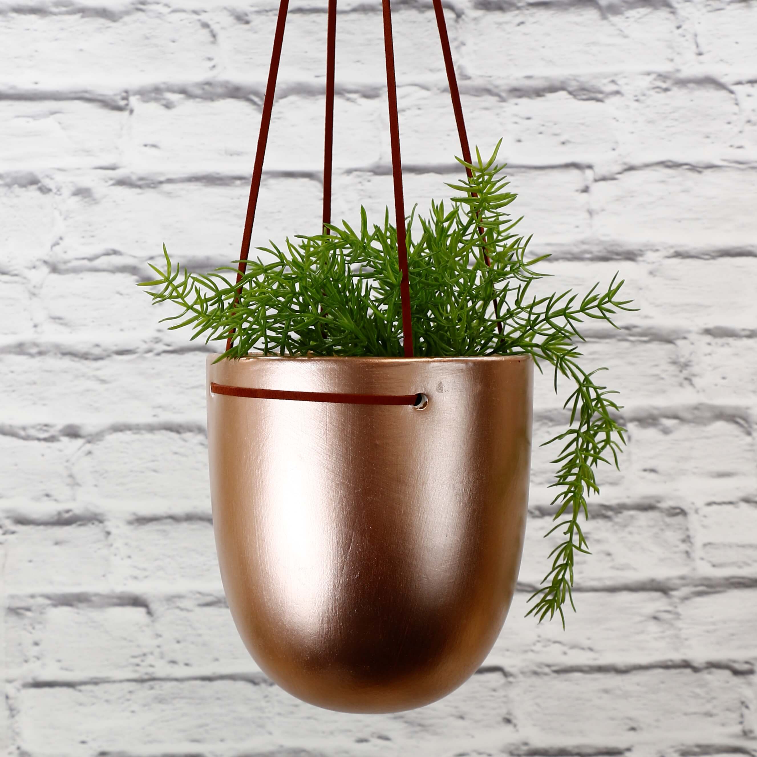 Gold Hanging Pot