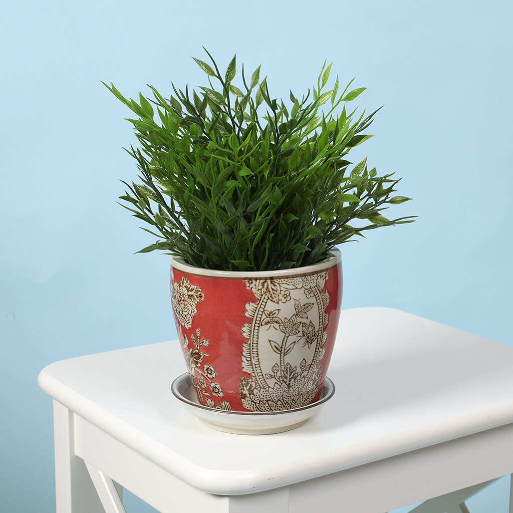 Tangerine Ceramic Planter