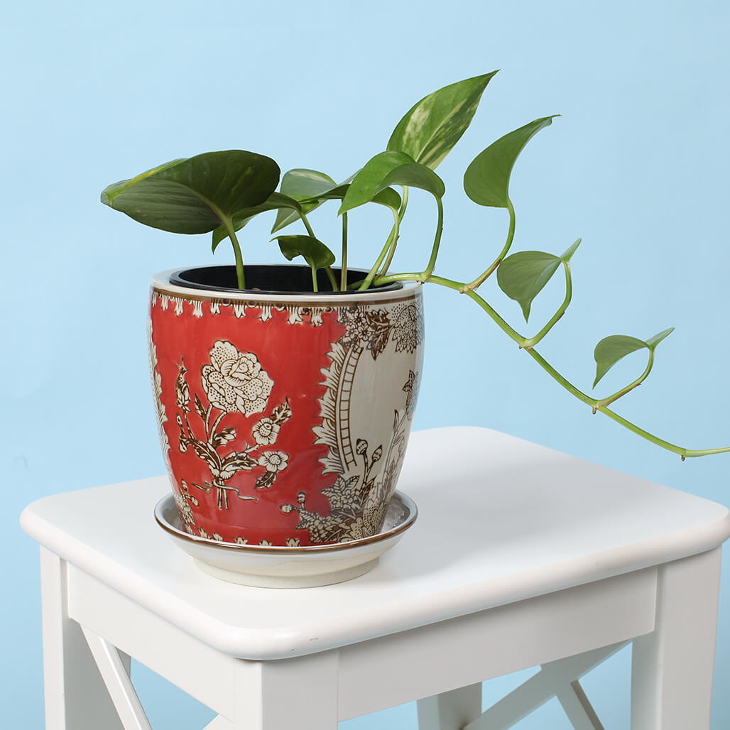 Tangerine Ceramic Planter