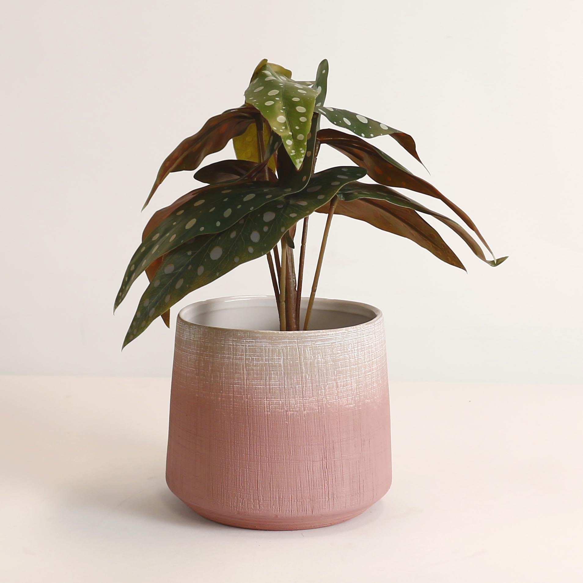 Horizon Blush Ceramic Pot