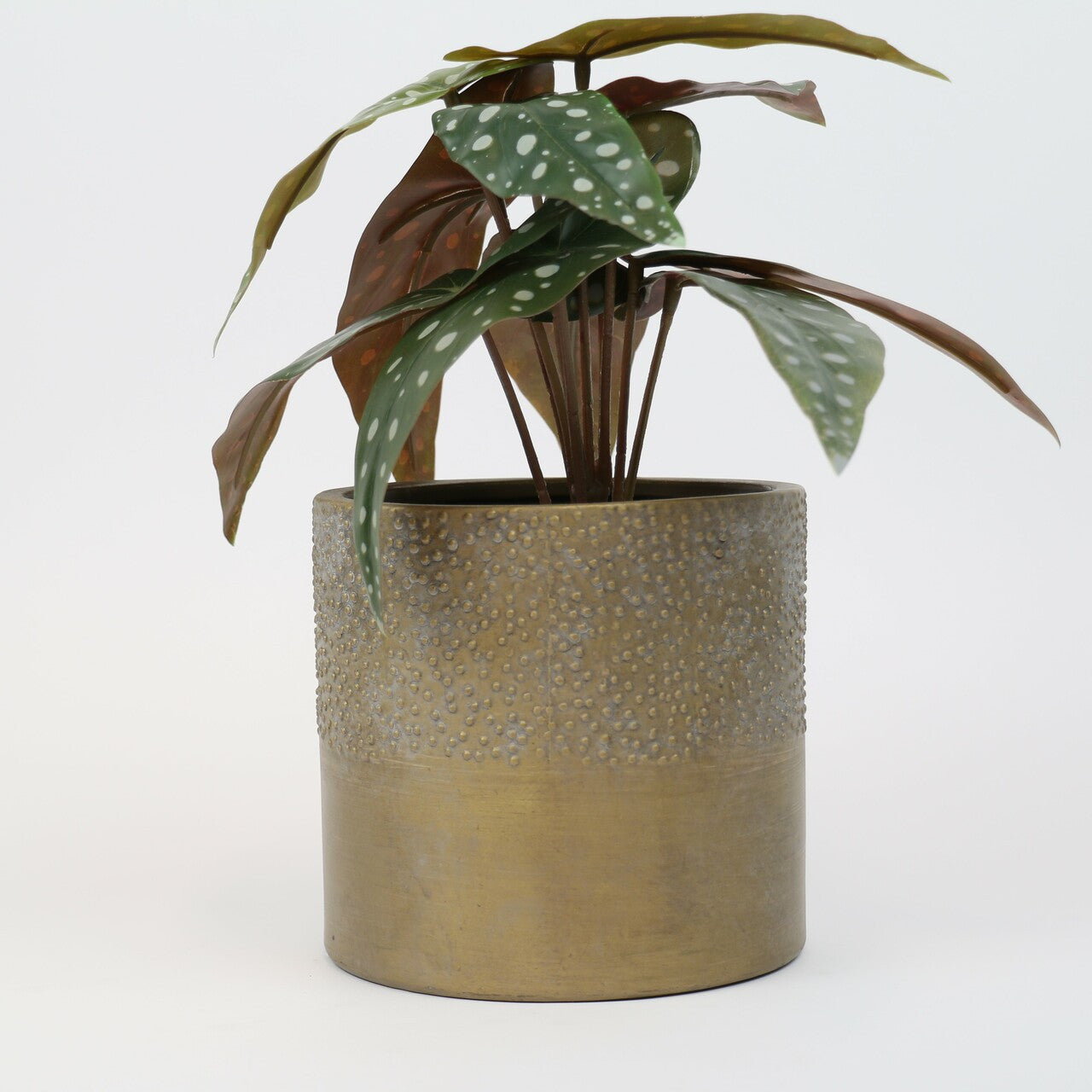 Textured Gold Pot