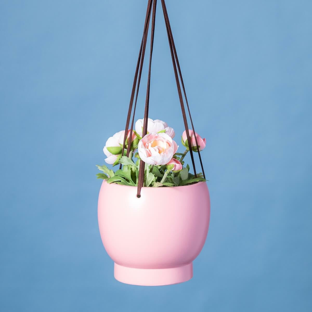 Bubble Hanging Planter
