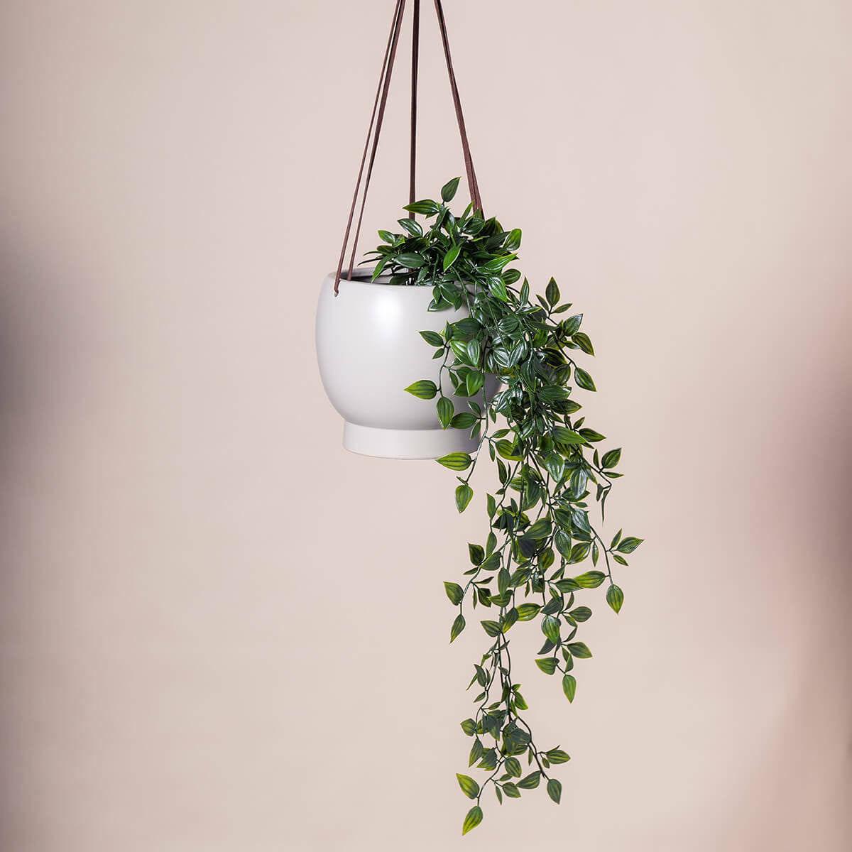 Bubble Hanging Planter