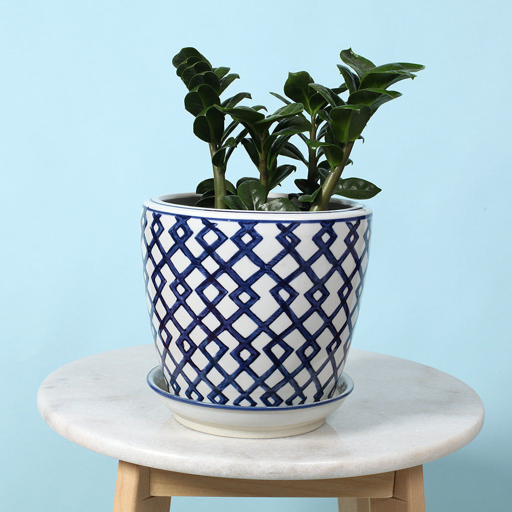 Link Ceramic Planter