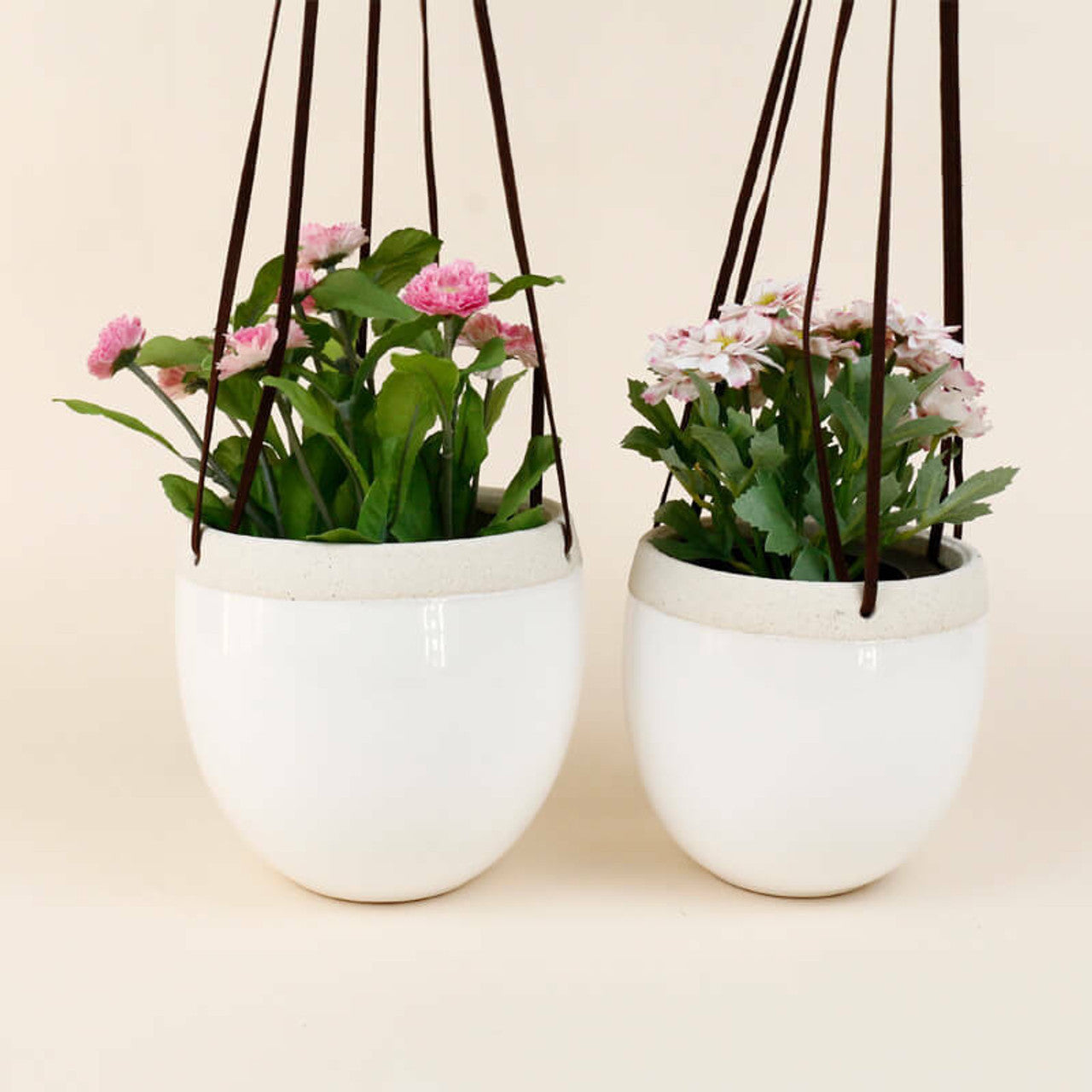 Hanging Egg Ceramic Pot