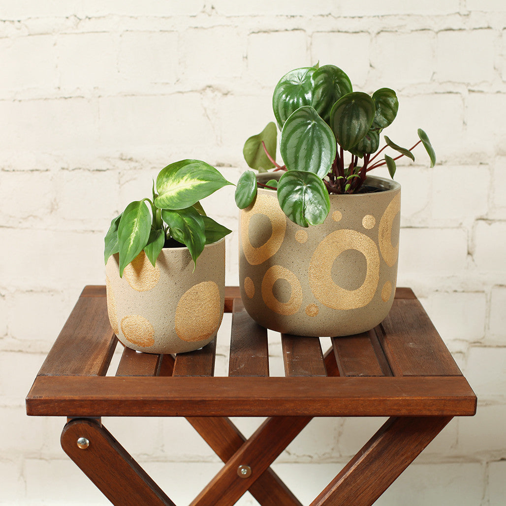 Gold Spot Ceramic Pot