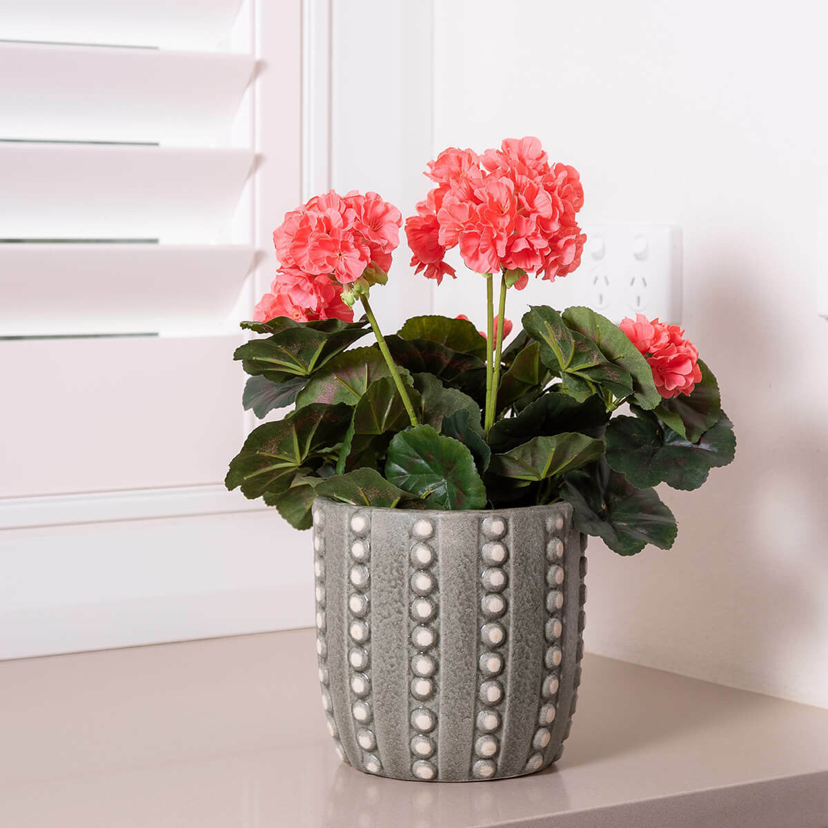 Cleo Bubble Ceramic Planter