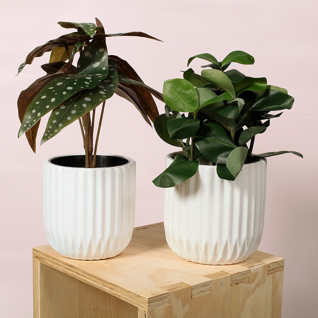 White Ribbed Ceramic Pot