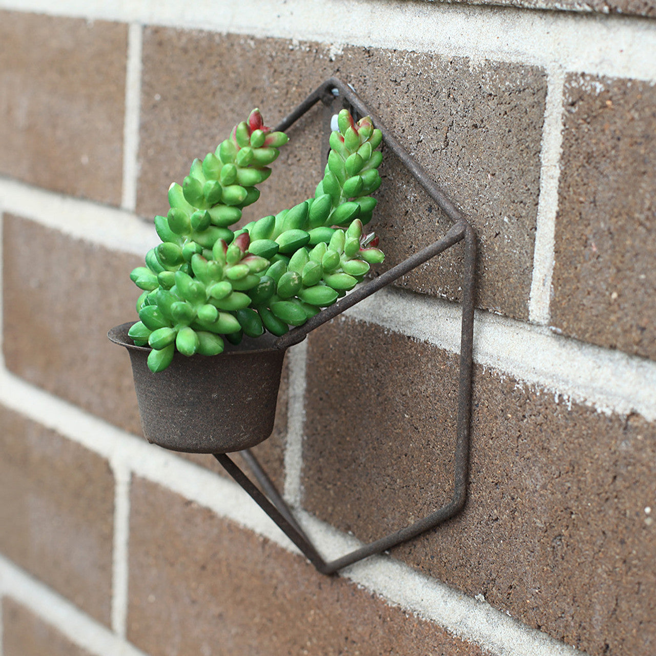 Rustic Mini Wall Planter