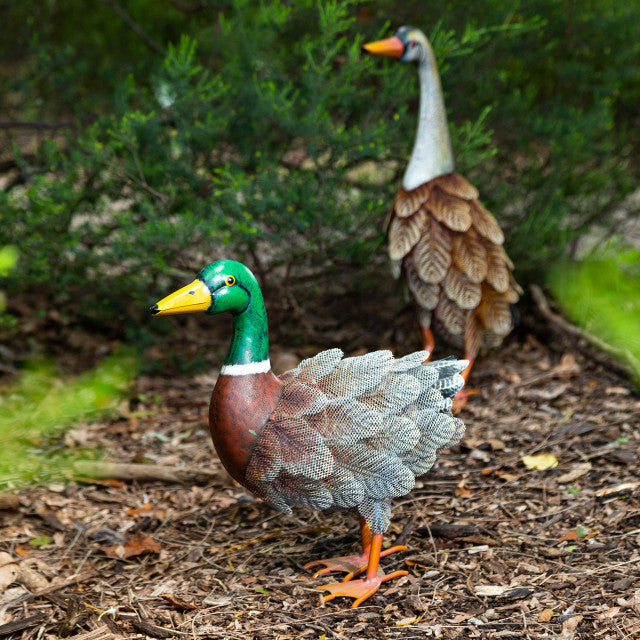 Mrs. Duck Garden Decor