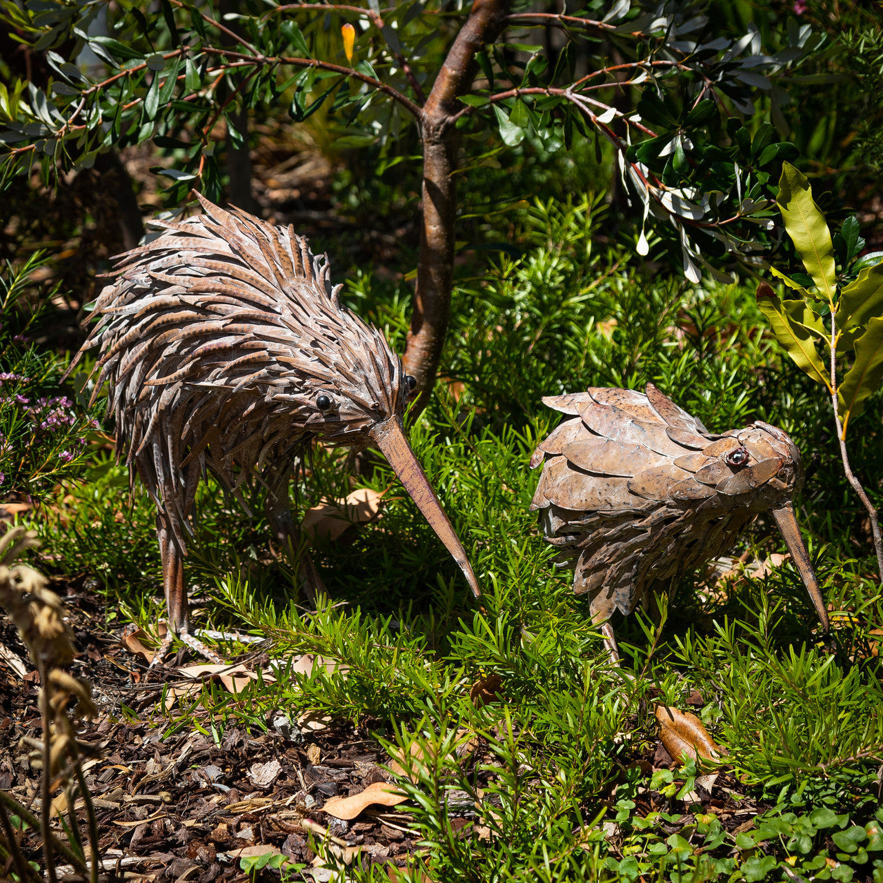 Kelly the Kiwi