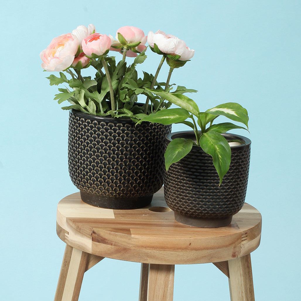 Pretty Shells Ceramic Planters