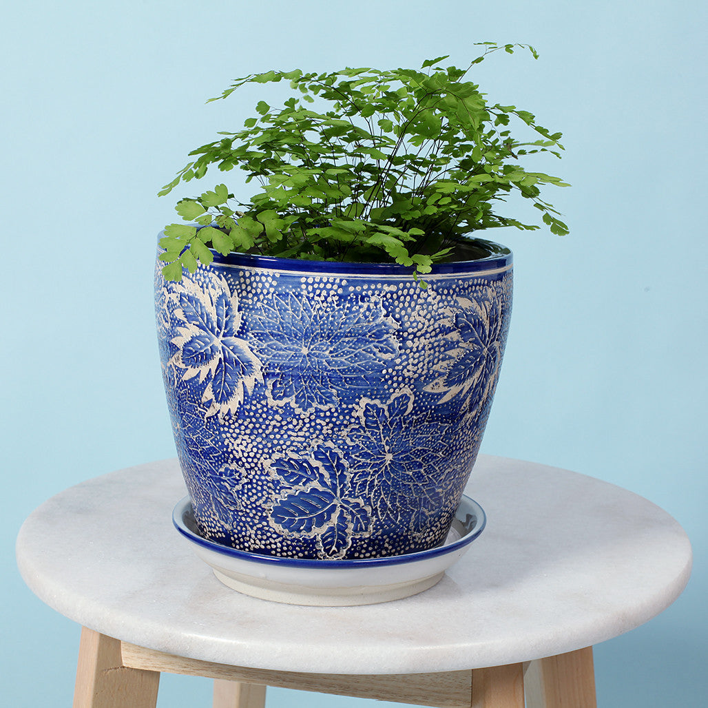 Hellebore Ceramic Planter