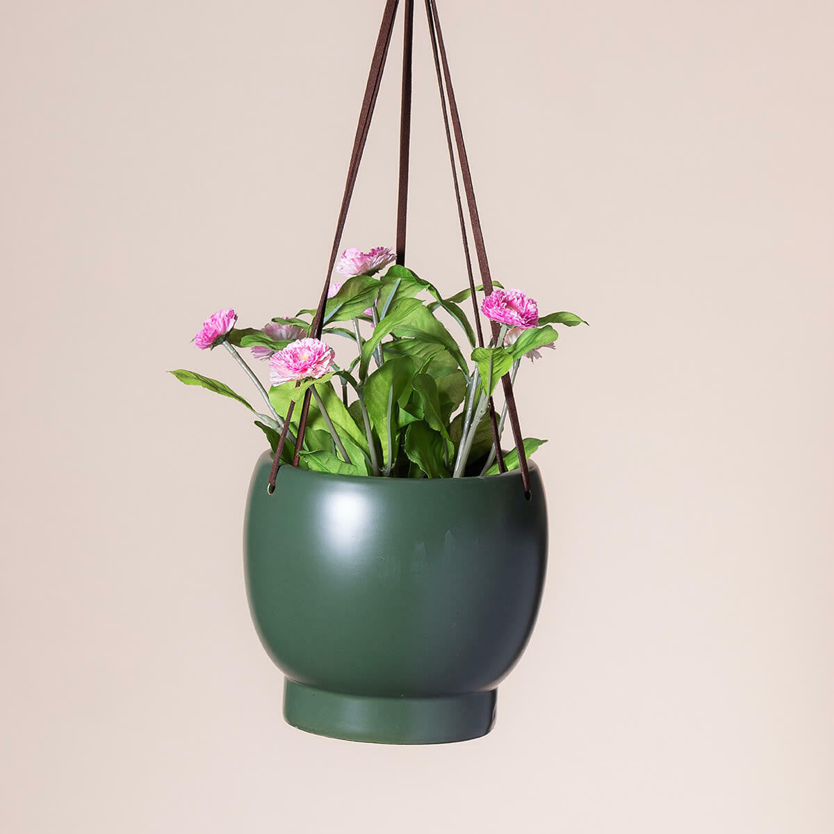 Bubble Hanging Planter