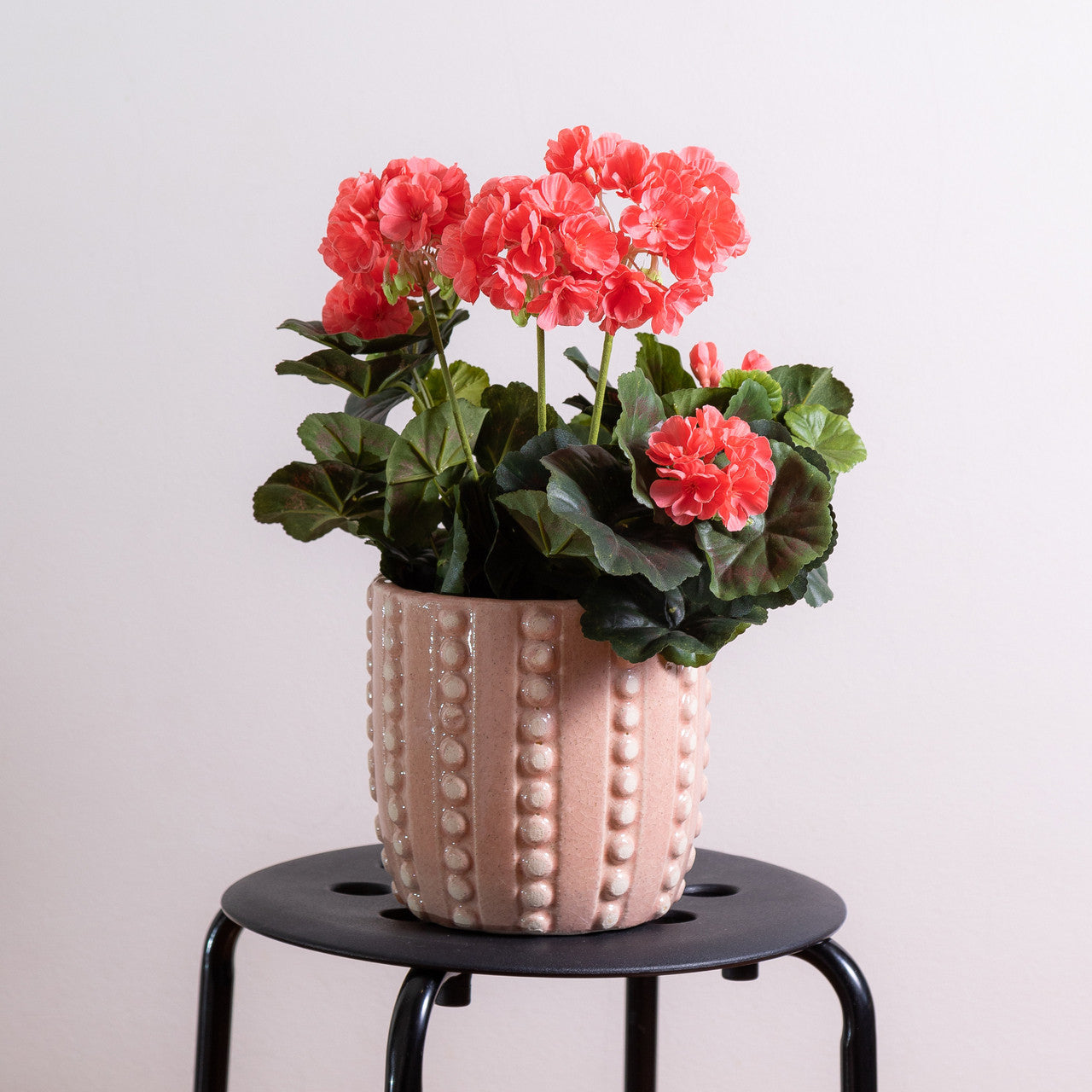 Cleo Bubble Ceramic Planter