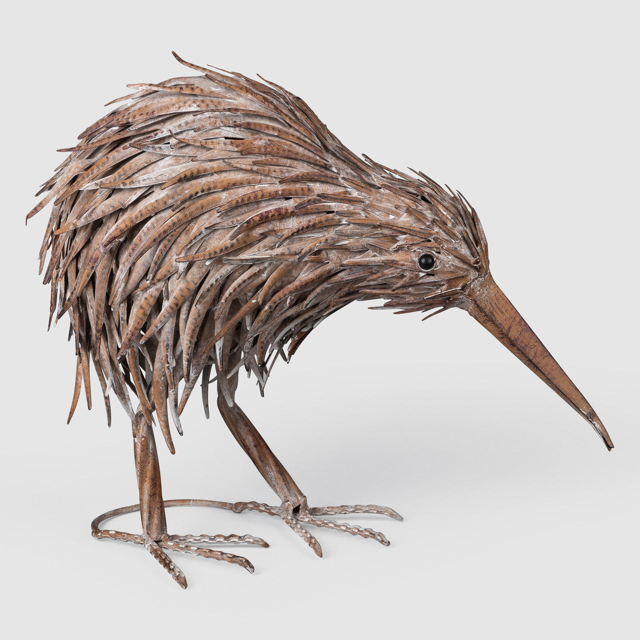 Kelly the Kiwi