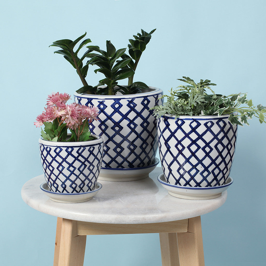 Link Ceramic Planter