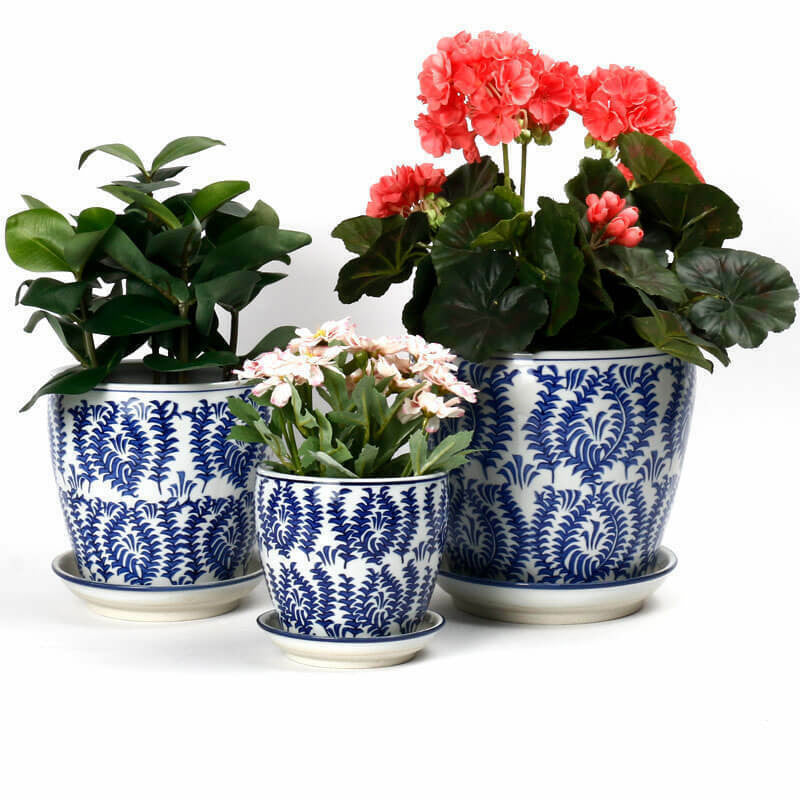 Fern Ceramic Planter
