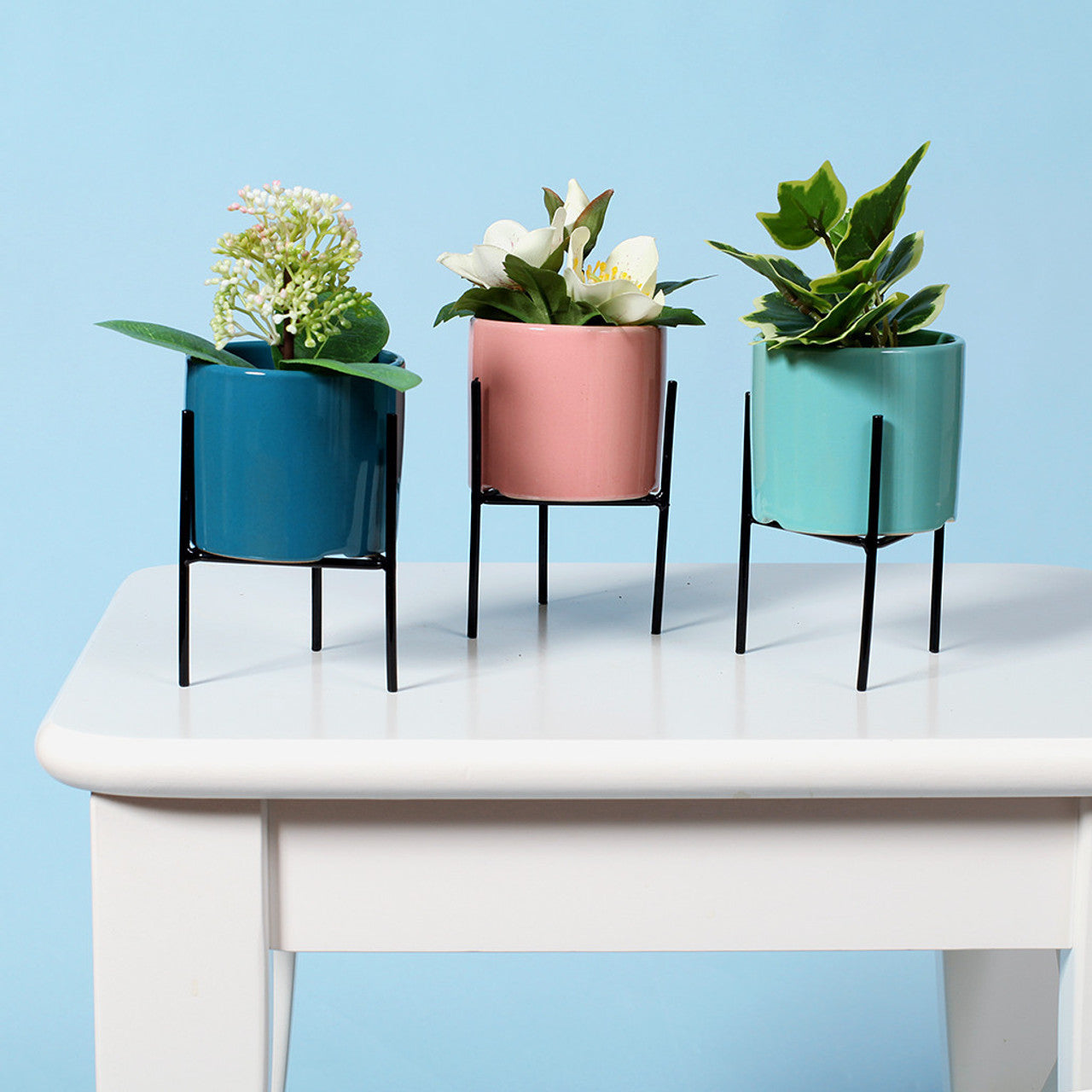 Mini Ceramic Planters Set of 3