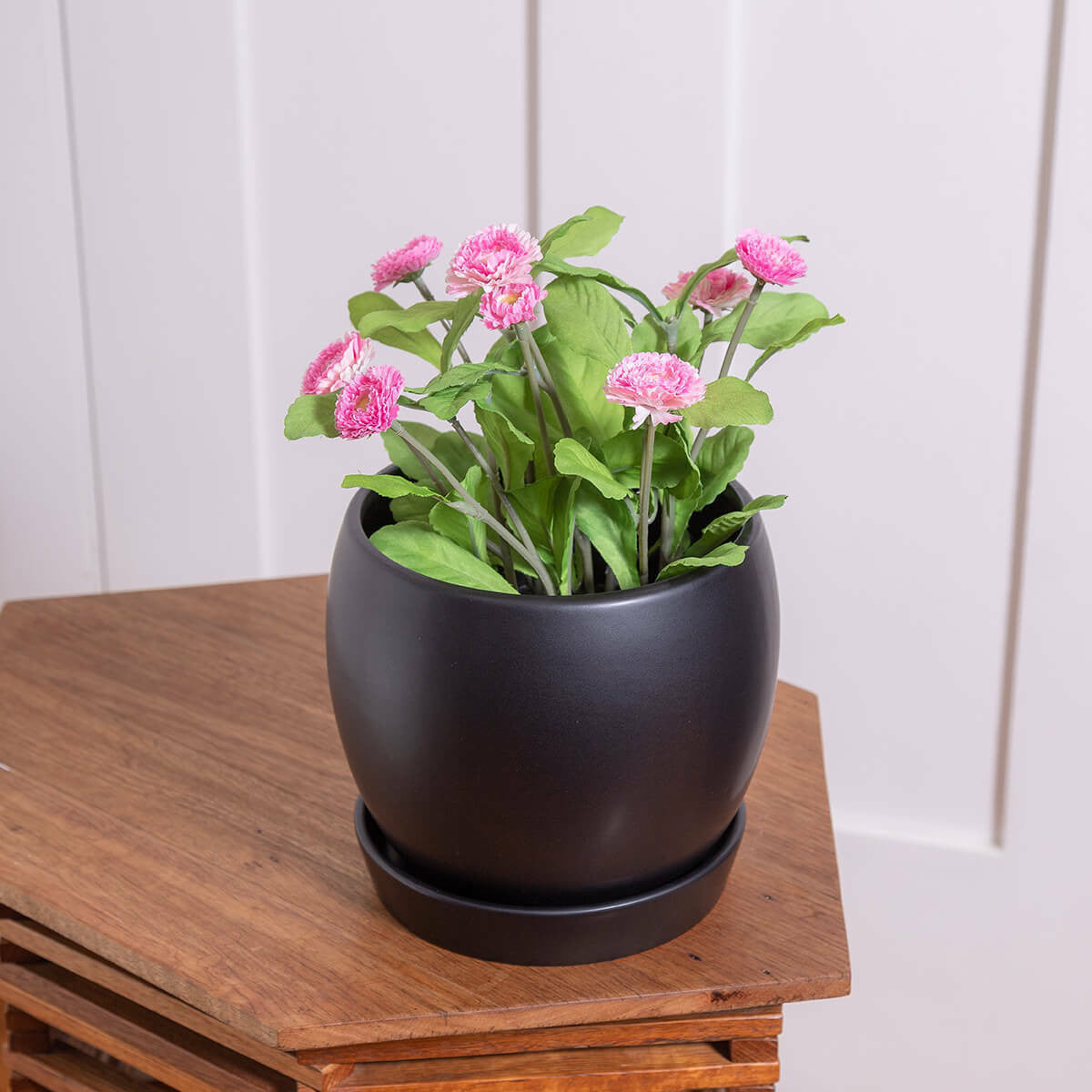 Egg Ceramic Planter