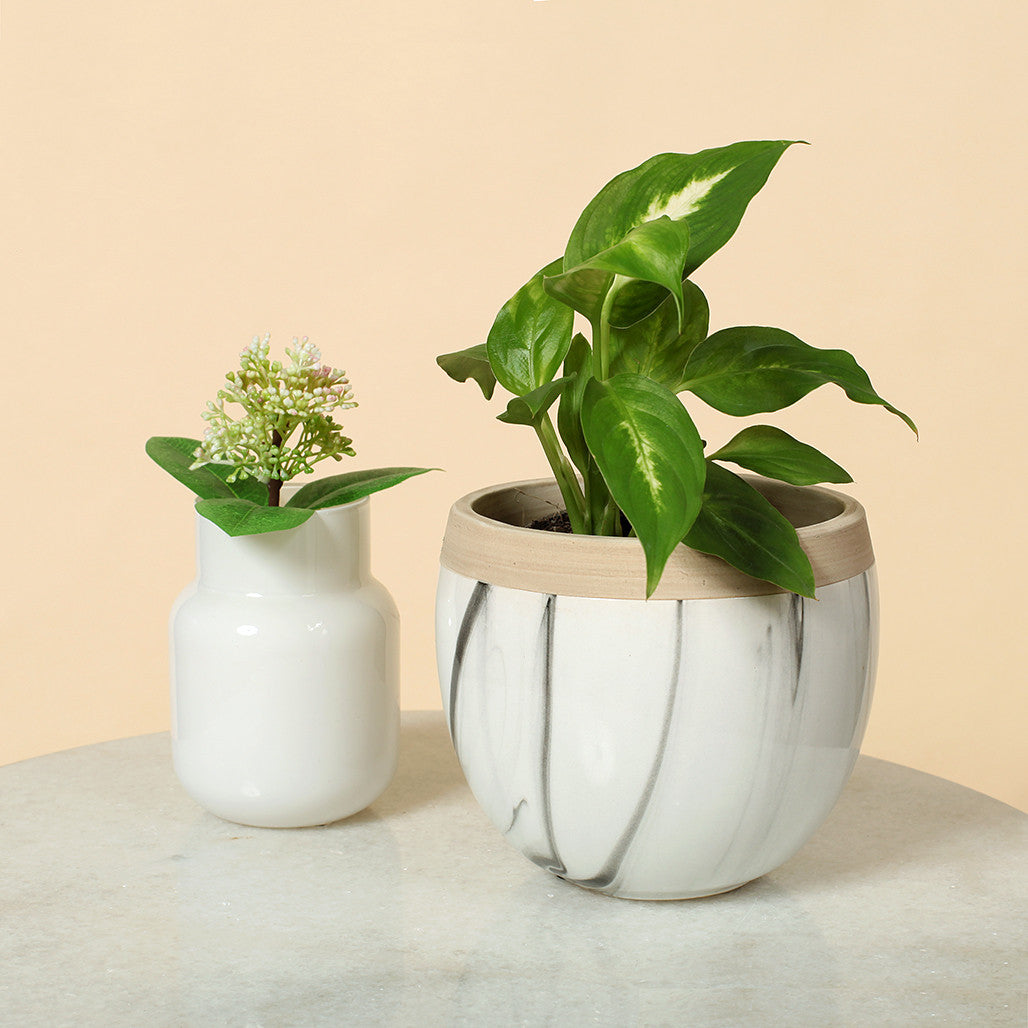Marble Egg Ceramic Pot