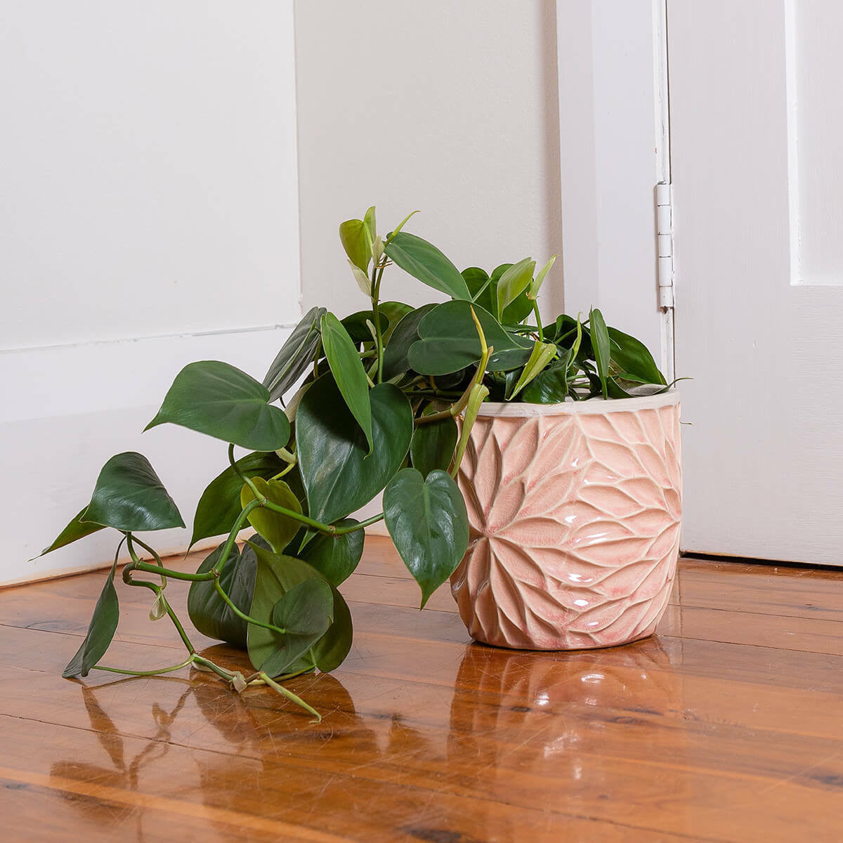 Ava Embossed Floral Ceramic Planter